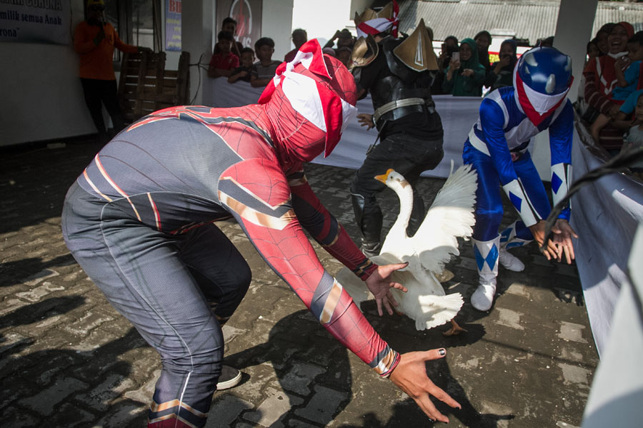 Superhero Ikut Lomba 17an Menangkap Angsa 