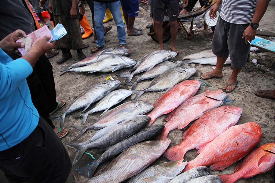 Hasil Tangkapan Menurun, Harga Ikan di Takalar Naik 