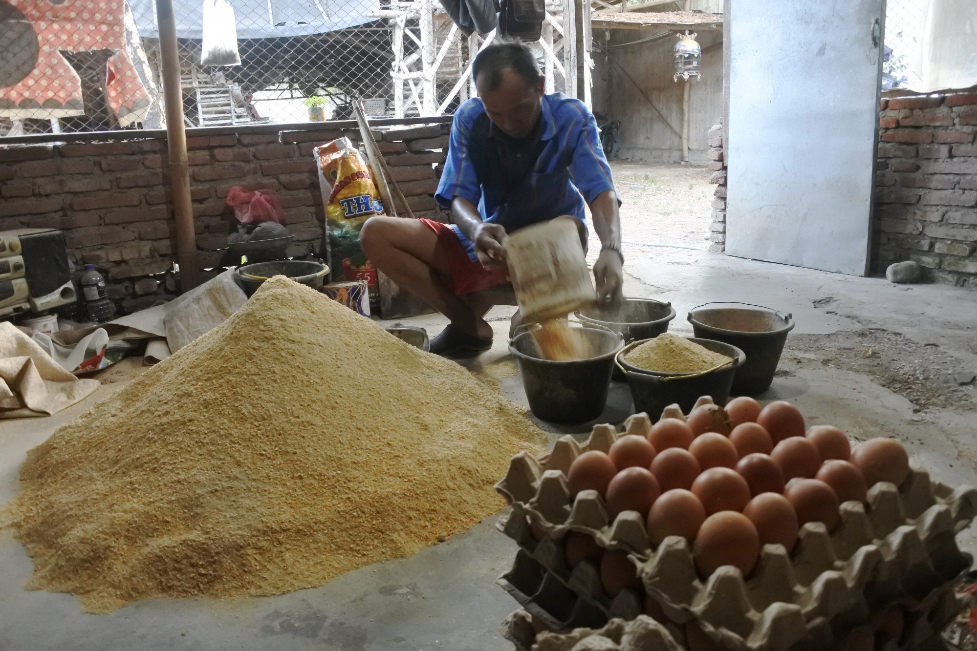 Harga Telur Ayam Naik Akibat Kenaikan Harga Pakan Ayam