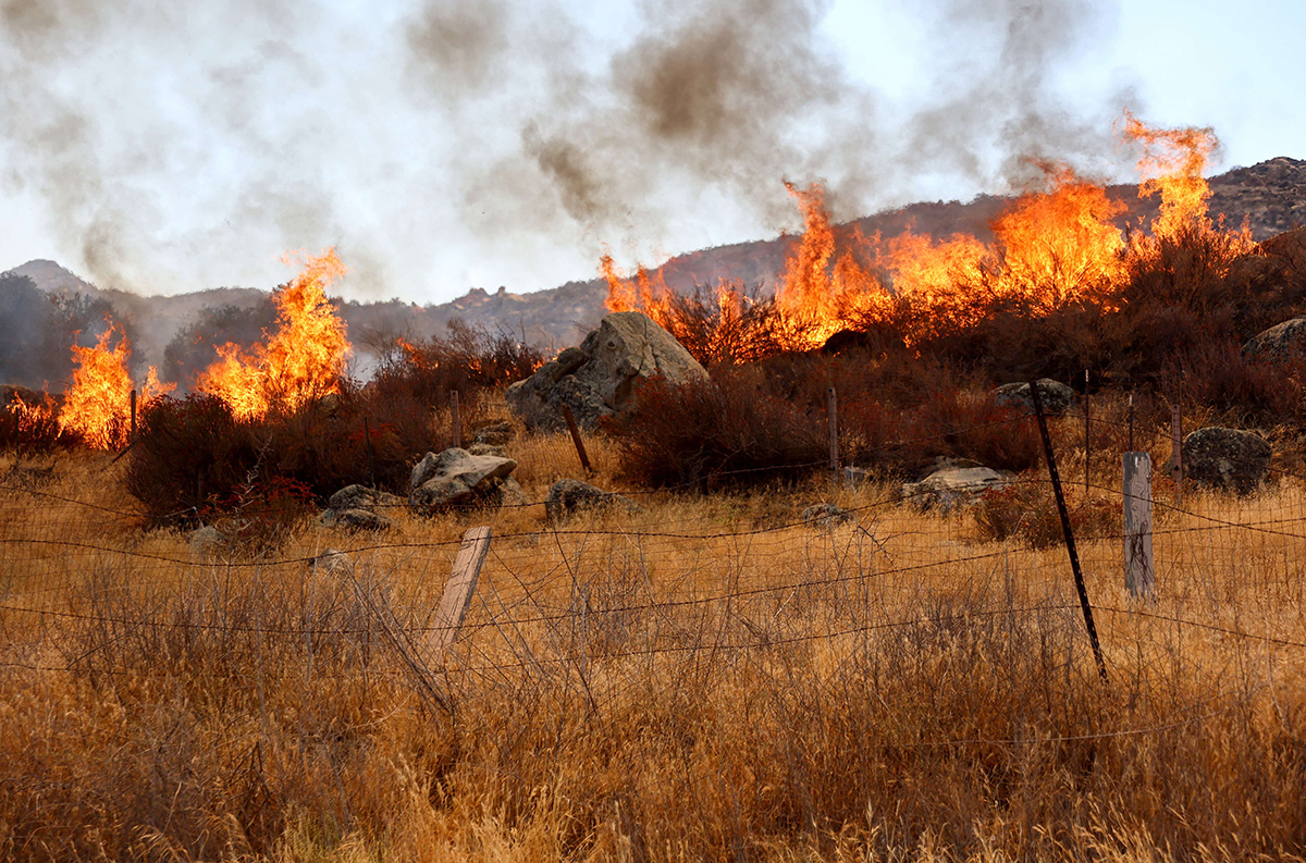 Kebakaran Hutan di California