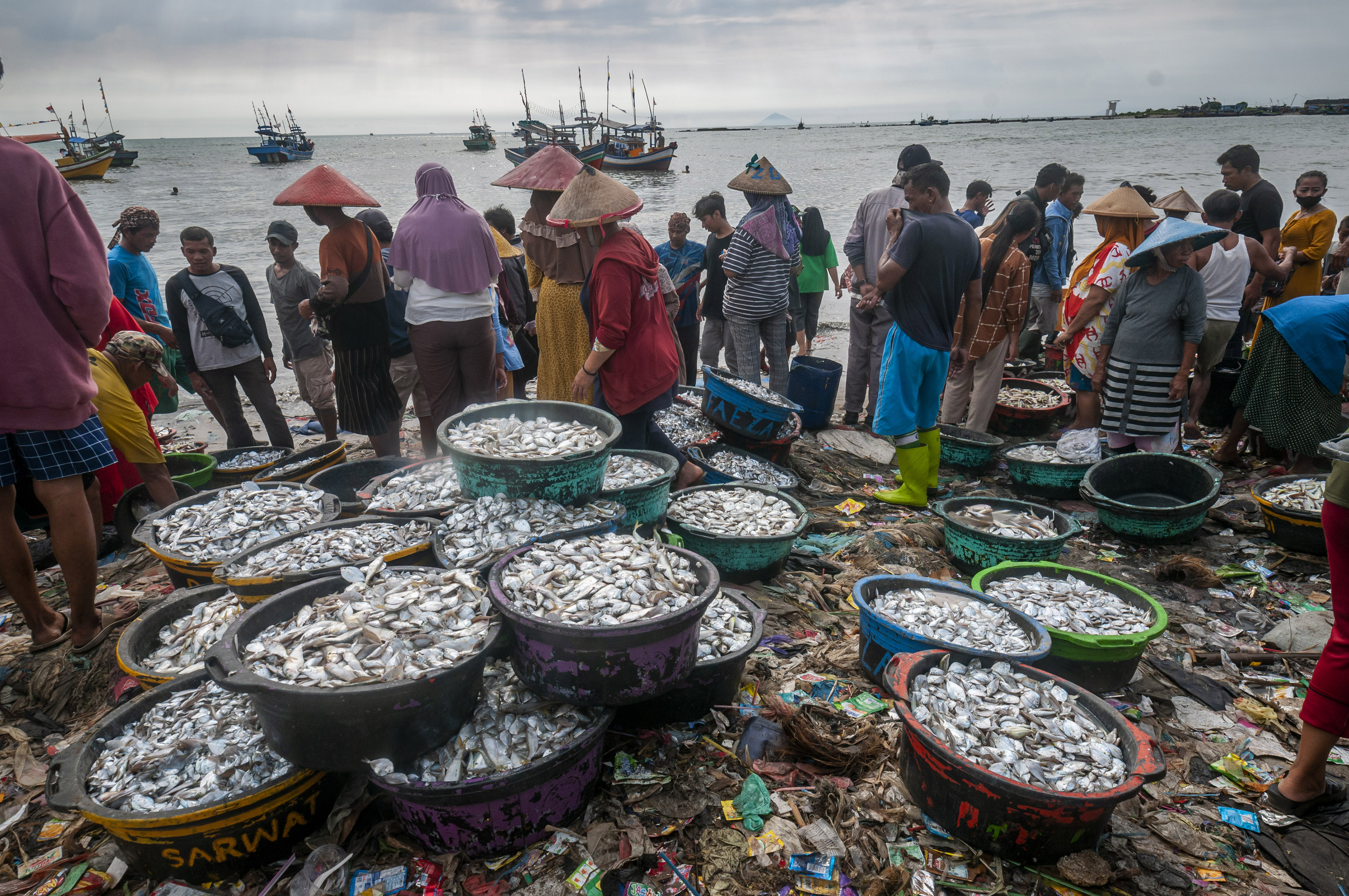 Harga Ikan Laut Naik