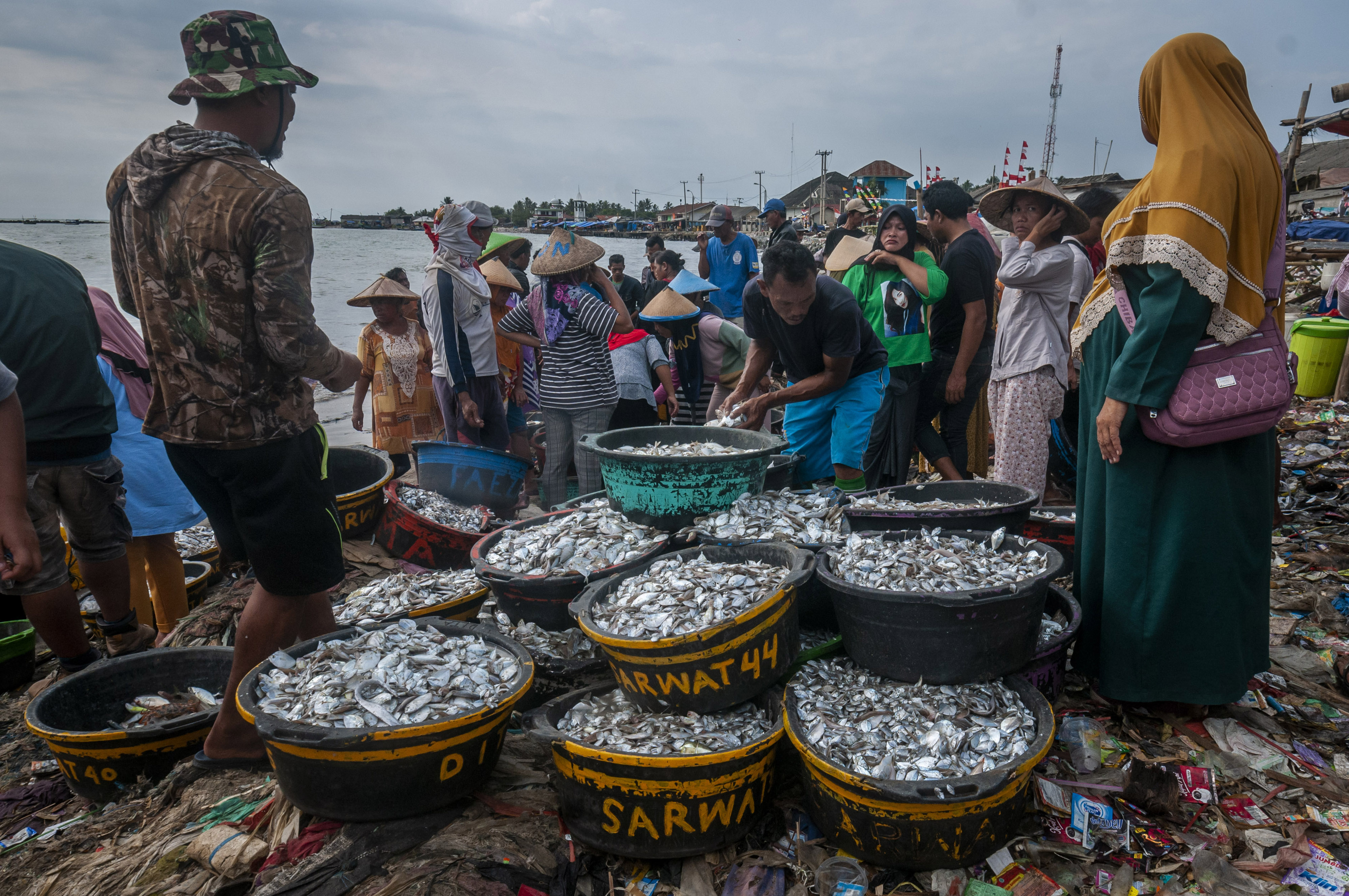 Harga Ikan Laut Naik