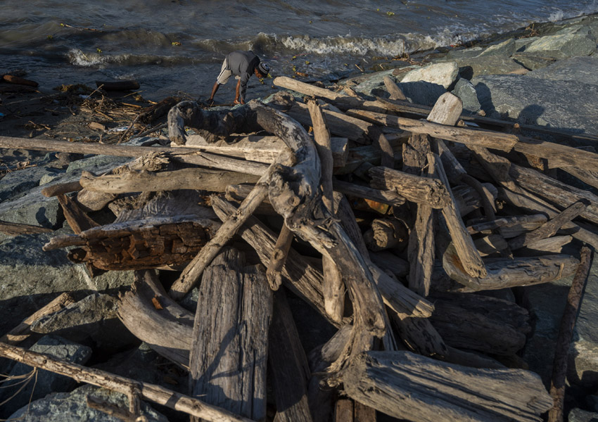 Manfaatkan Kayu Hanyut Untuk Bahan Bakar