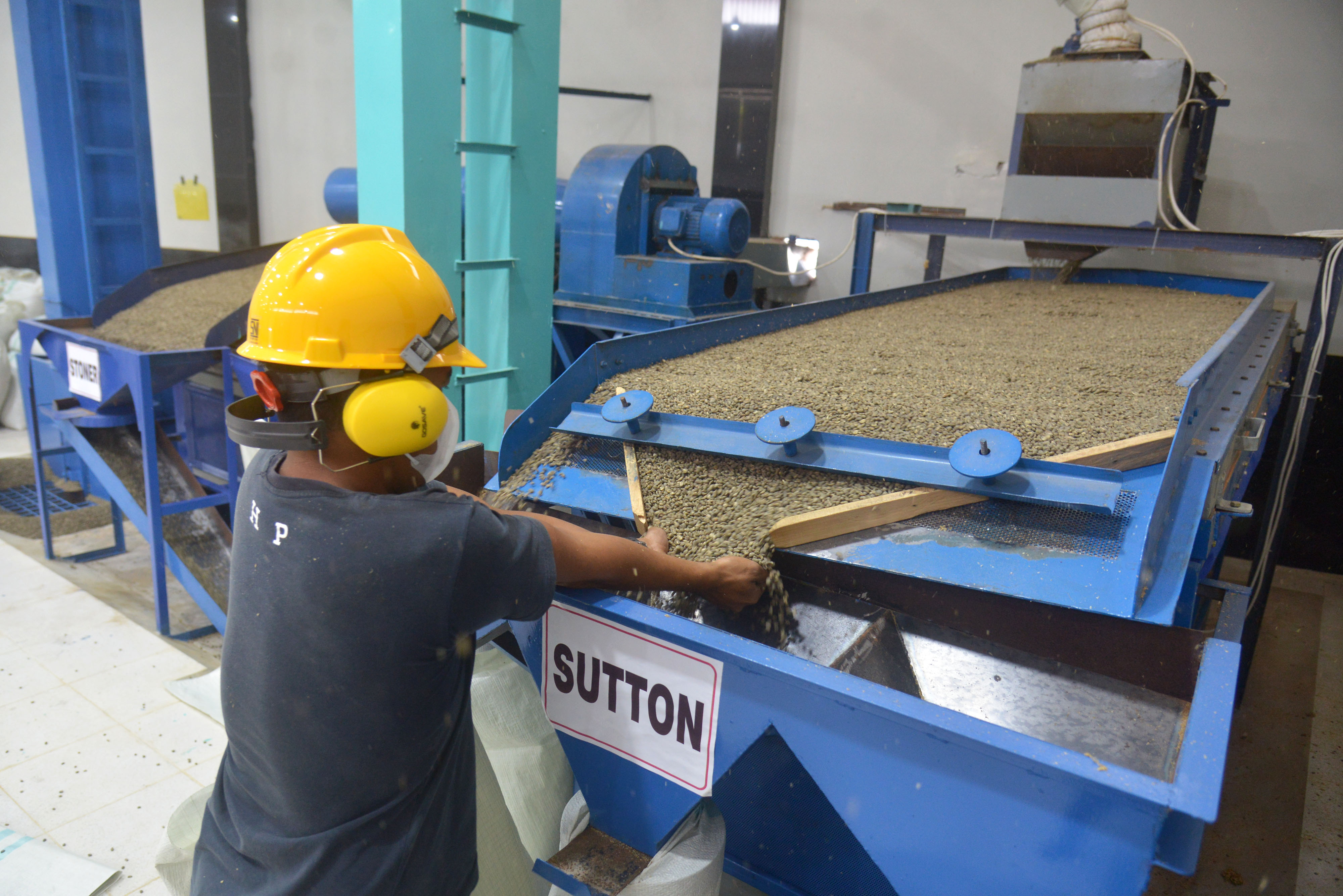 Ekspor Kopi Organik Aceh Tengah