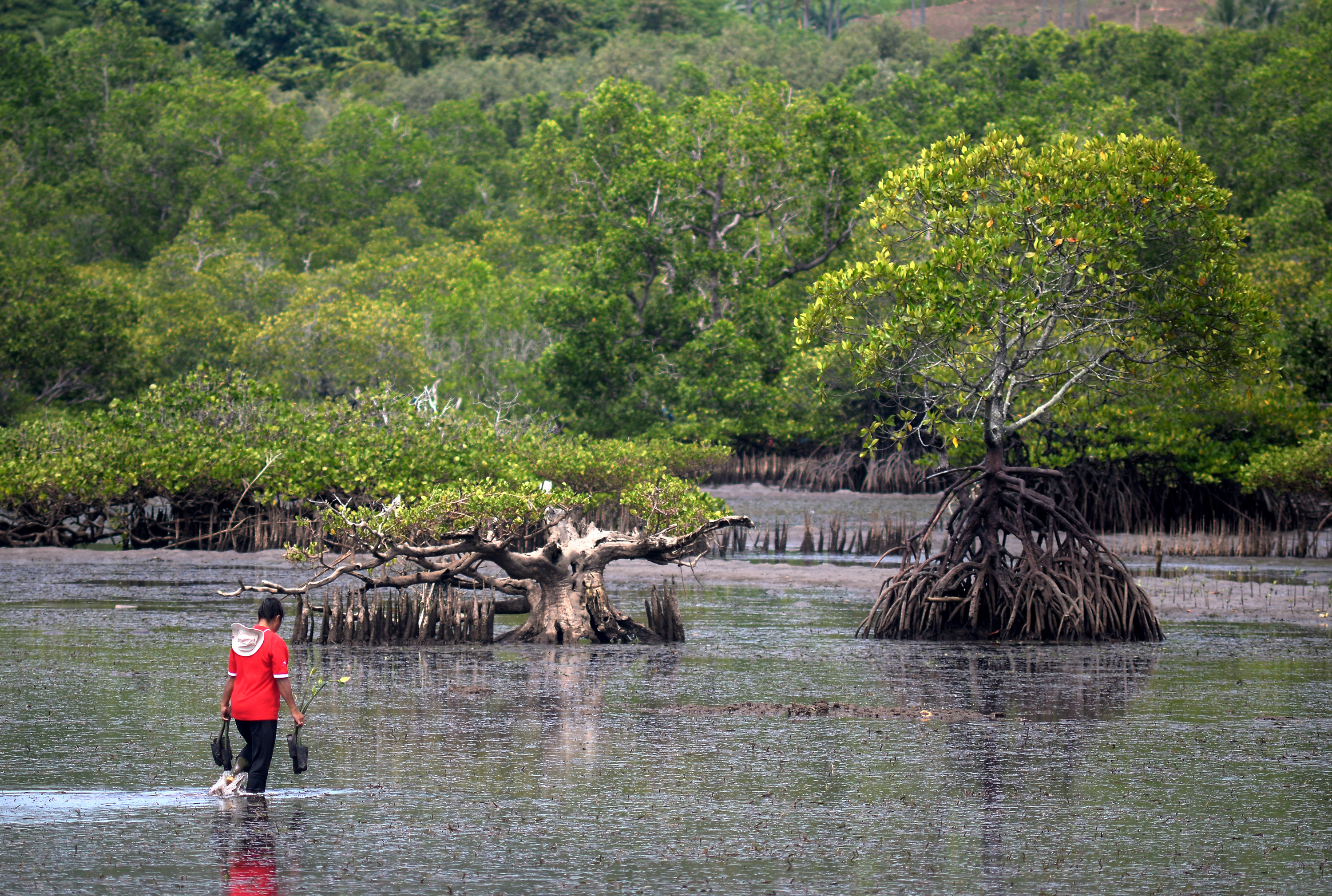 Pemberdayaan Masyarakat Pesisir Bunaken
