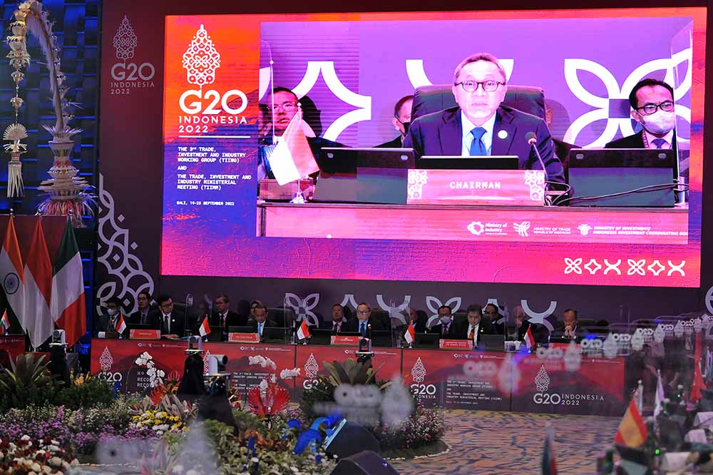 Pertemuan G20 Trade, Investment and Industry Ministerial Meeting (TIIMM)