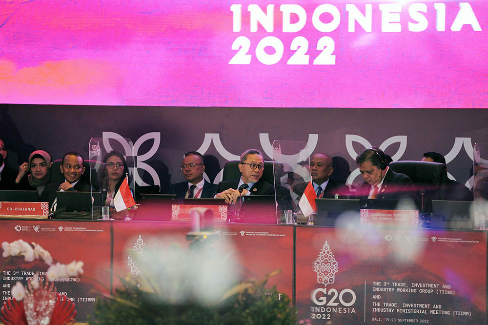 Pertemuan G20 Trade, Investment and Industry Ministerial Meeting (TIIMM)