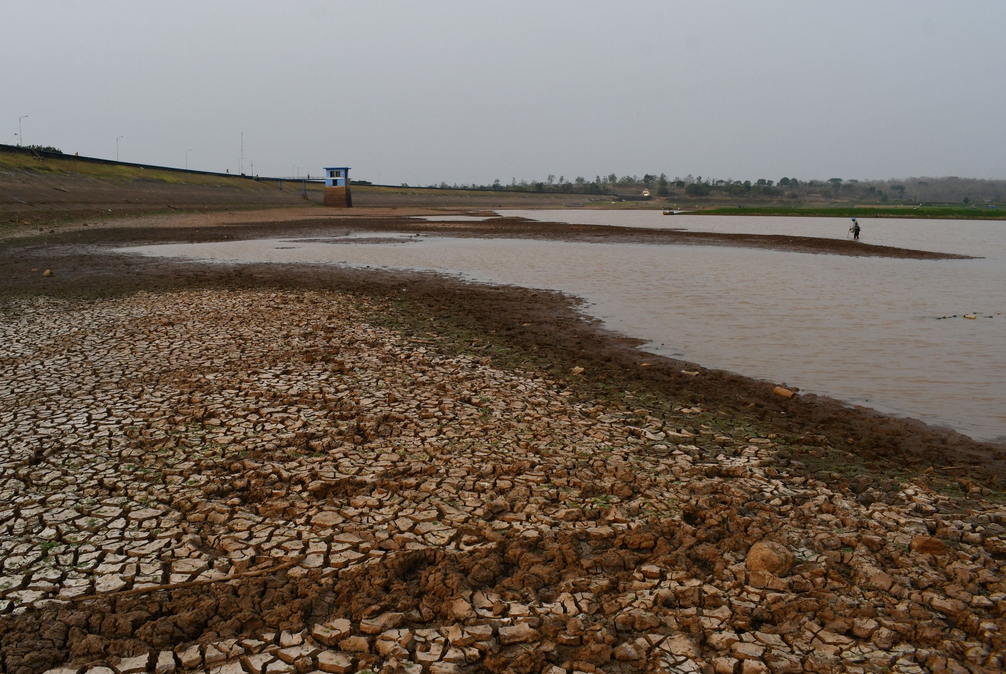 Waduk Dawuhan di Madiun Airnya Menyusut