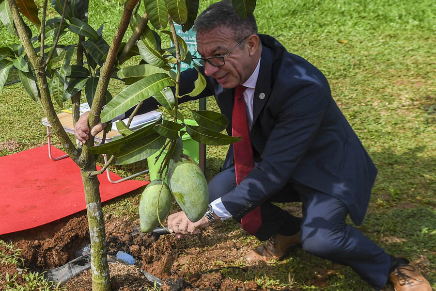 Delagasi P20 Menanam Pohon