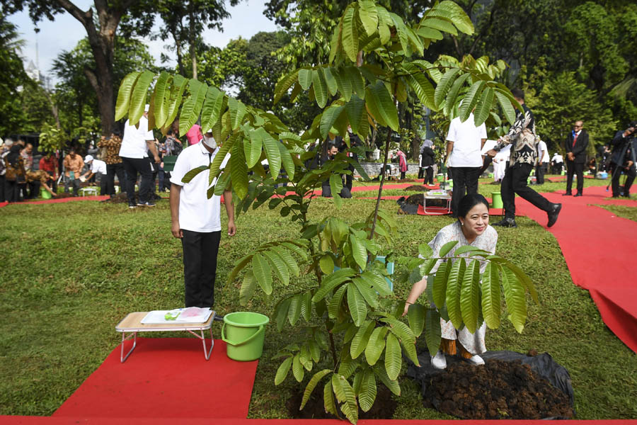 Delagasi P20 Menanam Pohon