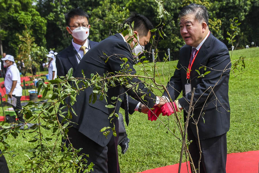 Delagasi P20 Menanam Pohon