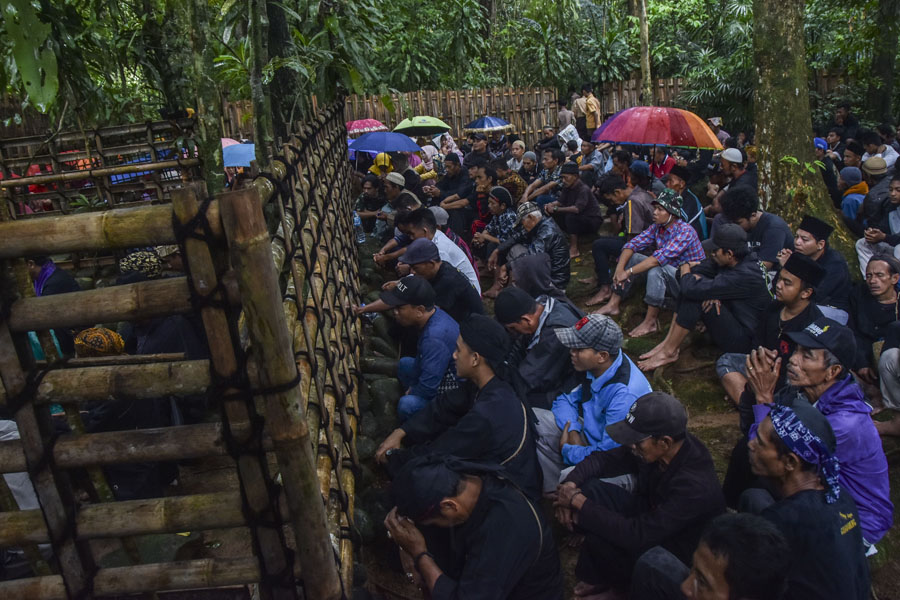 Tradisi Adat Merlawu