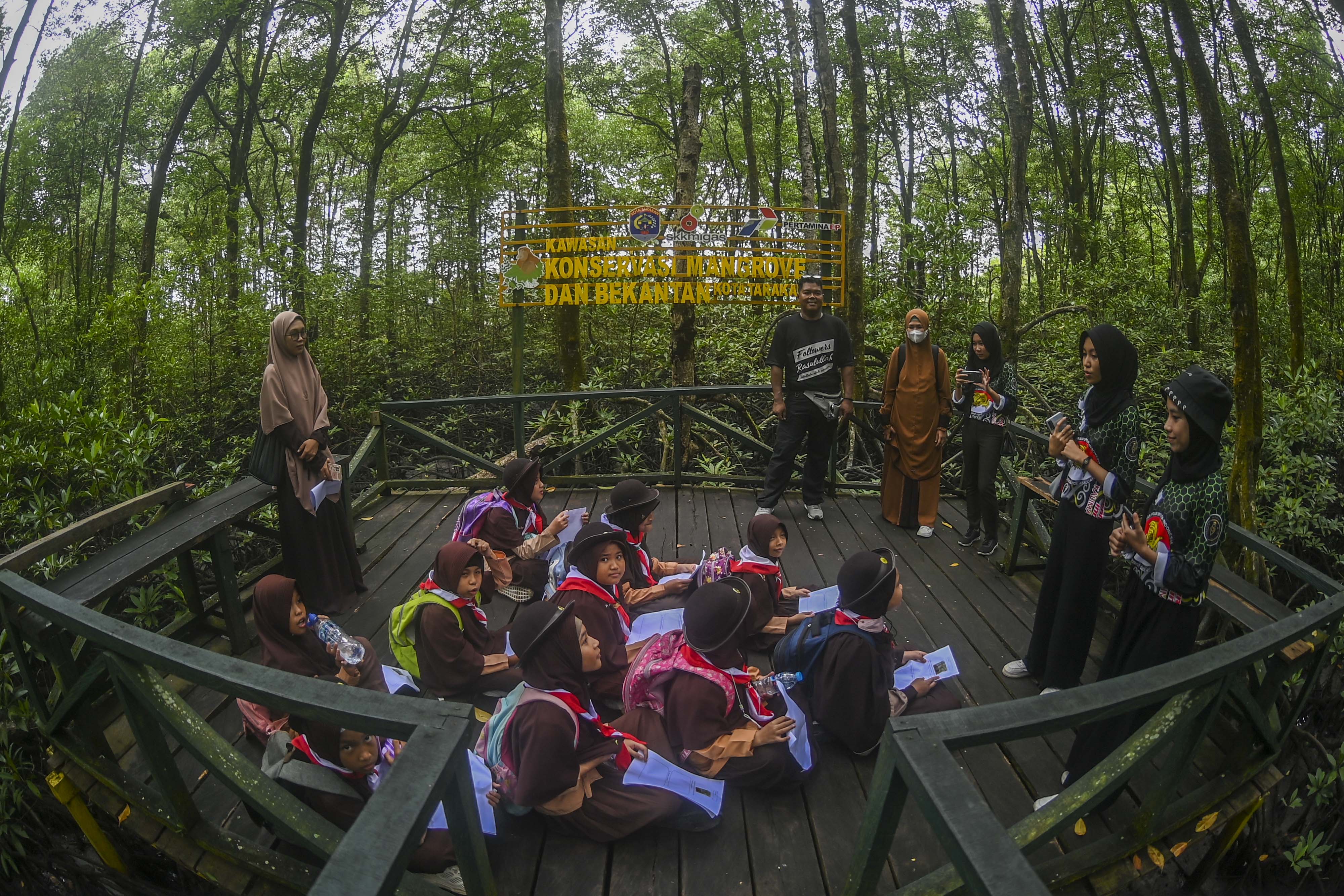 Konservasi Mangrove dan Bekantan di Tarakan