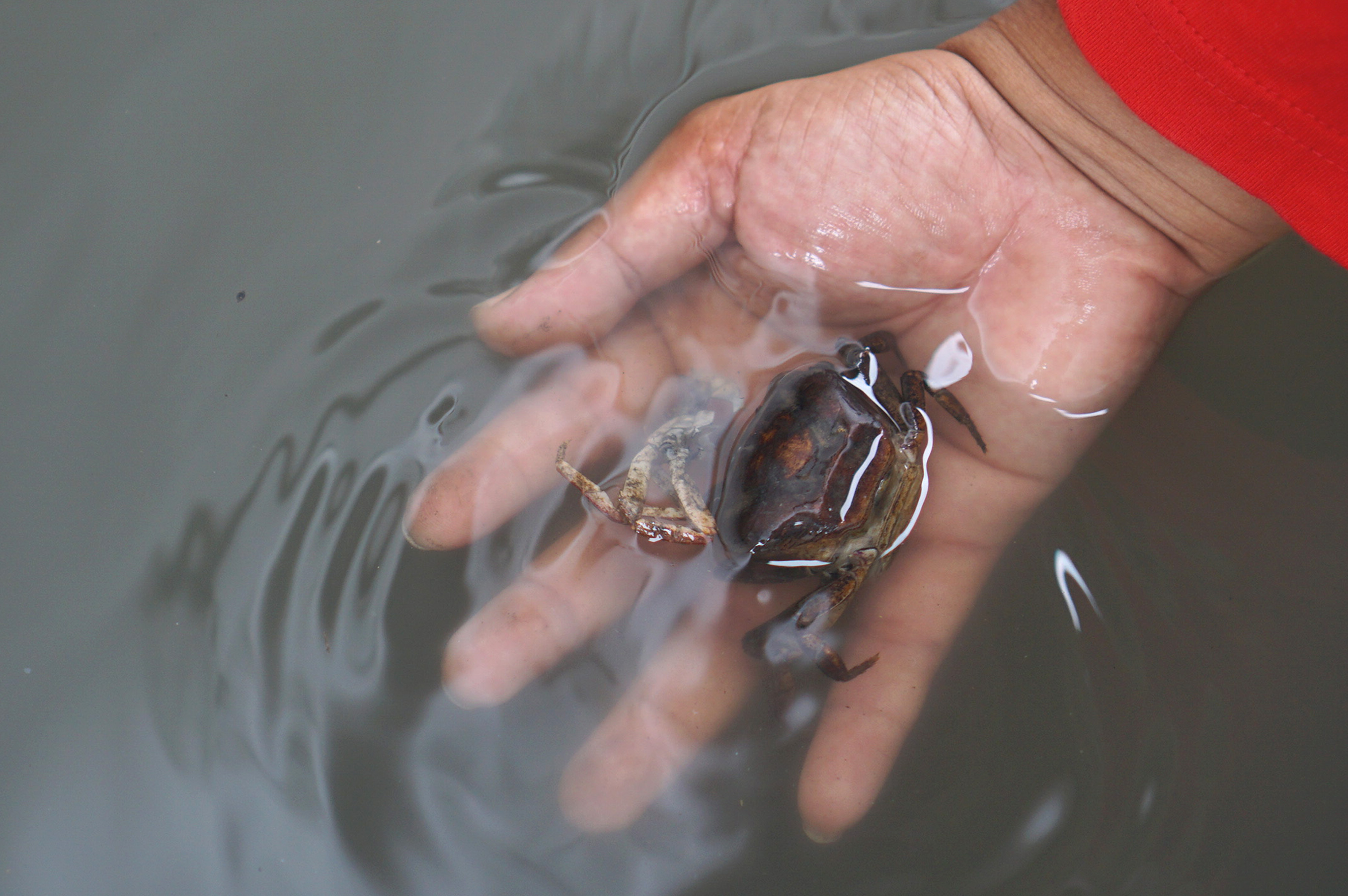 Banjir Bercampur Limbah Industri di Tulungagung