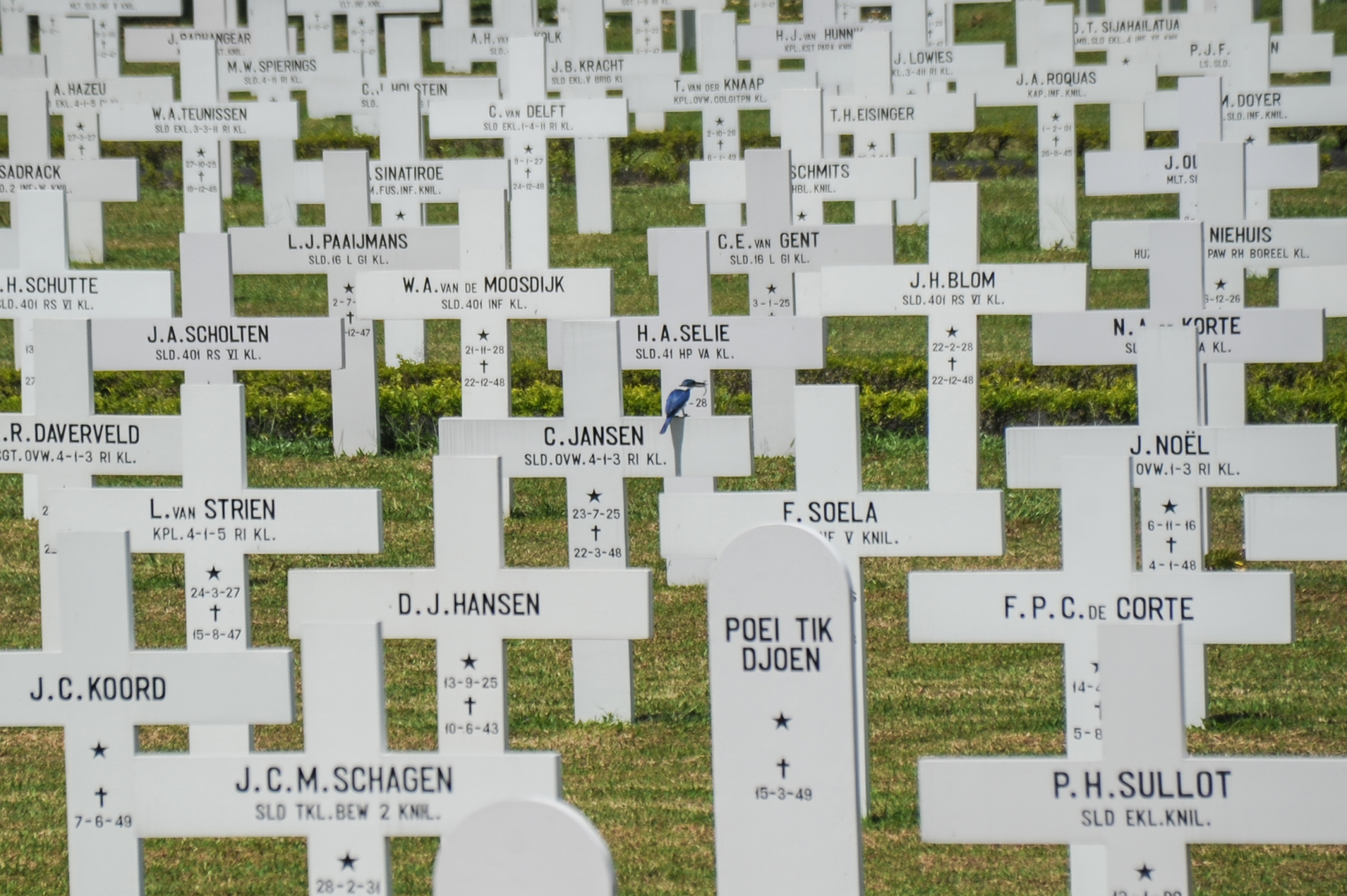 Lahan Pemakaman di Bandung Tinggal Dua Hektar