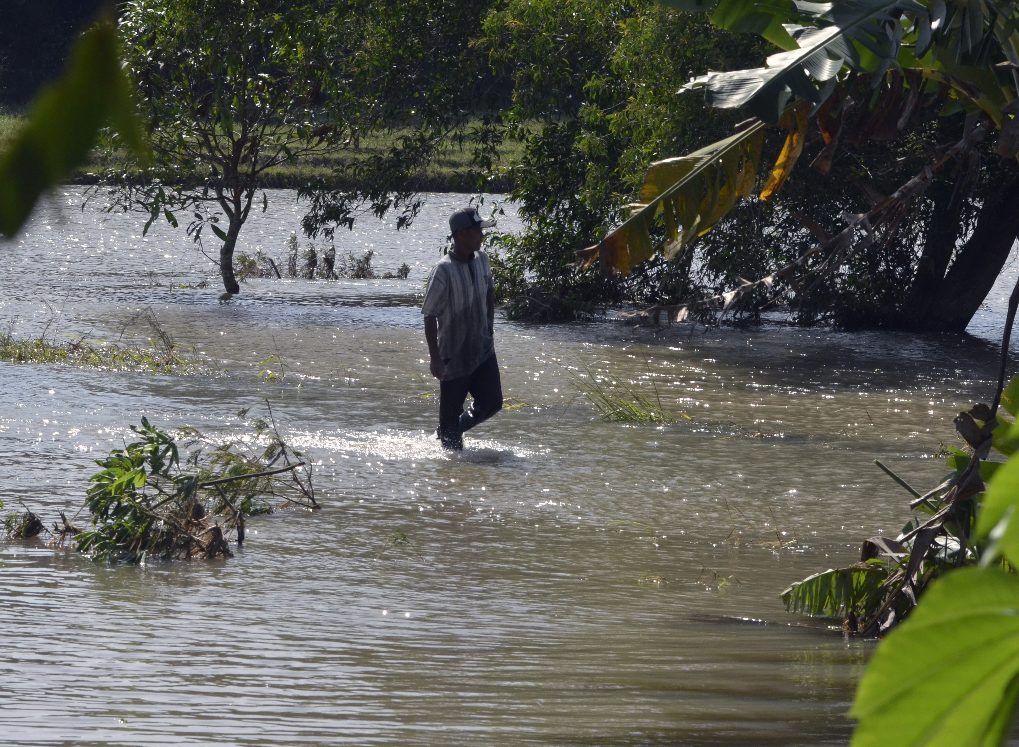 Banjir Luapan Sungai di Lampung Selatan