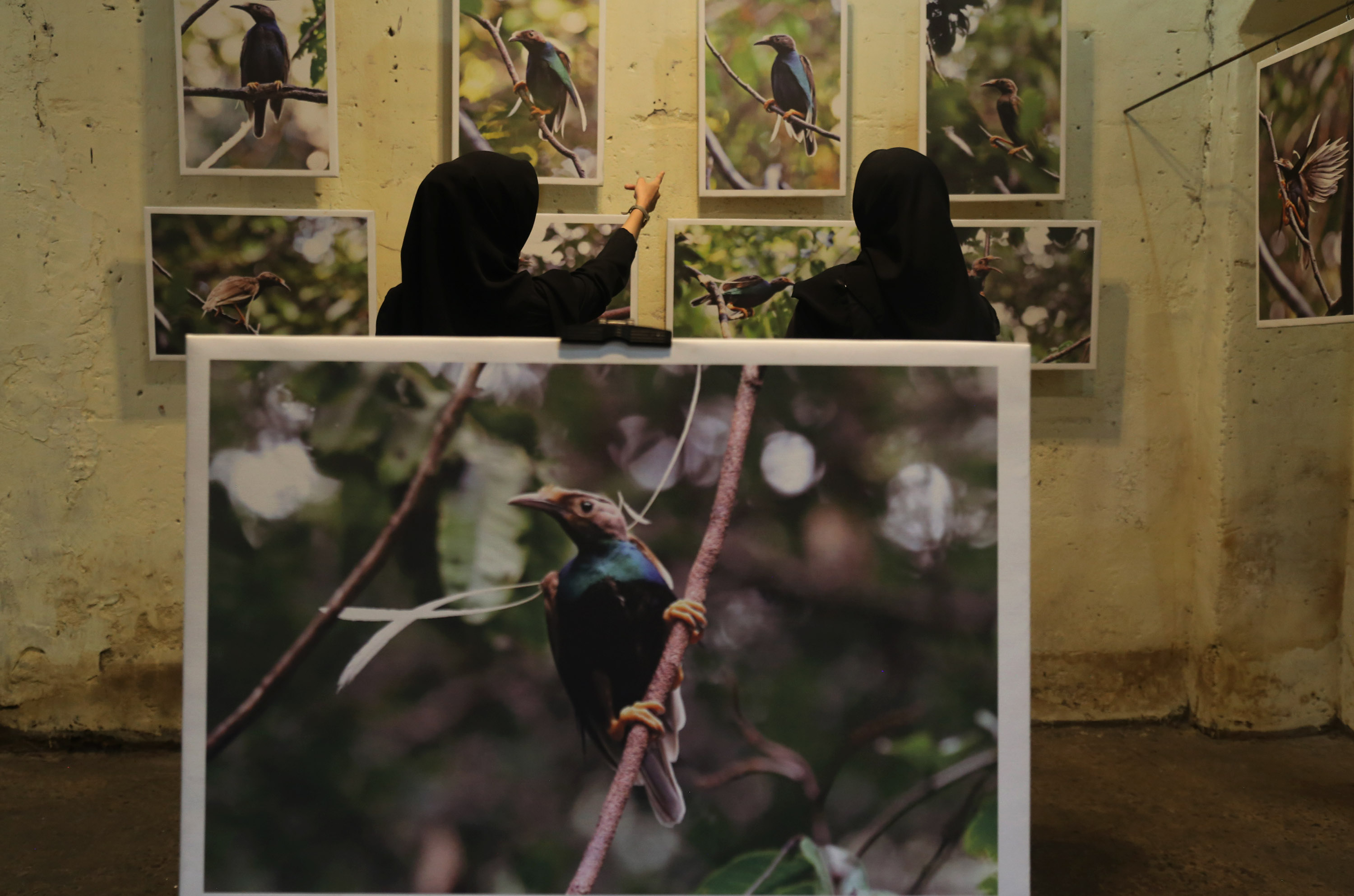 Pameran Fotografi Avifauna di Ternate