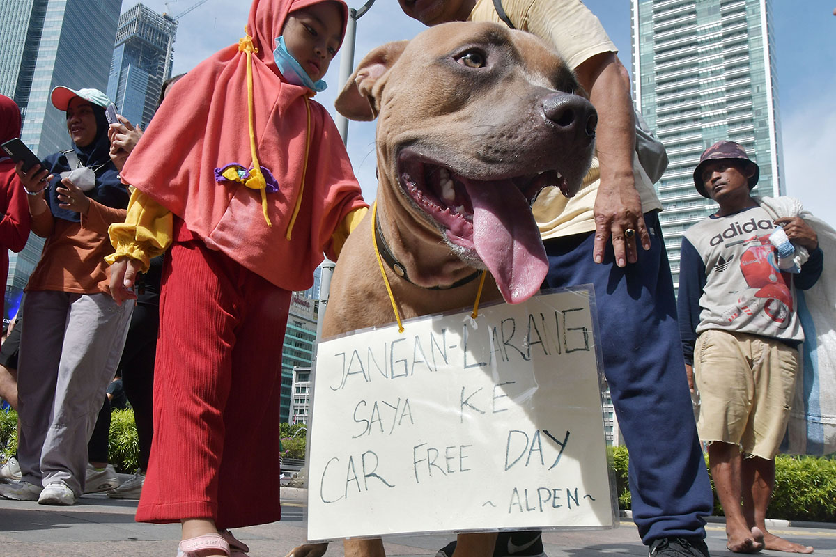 Aksi Protes Pelarangan Hewan Peliharaan di CFD