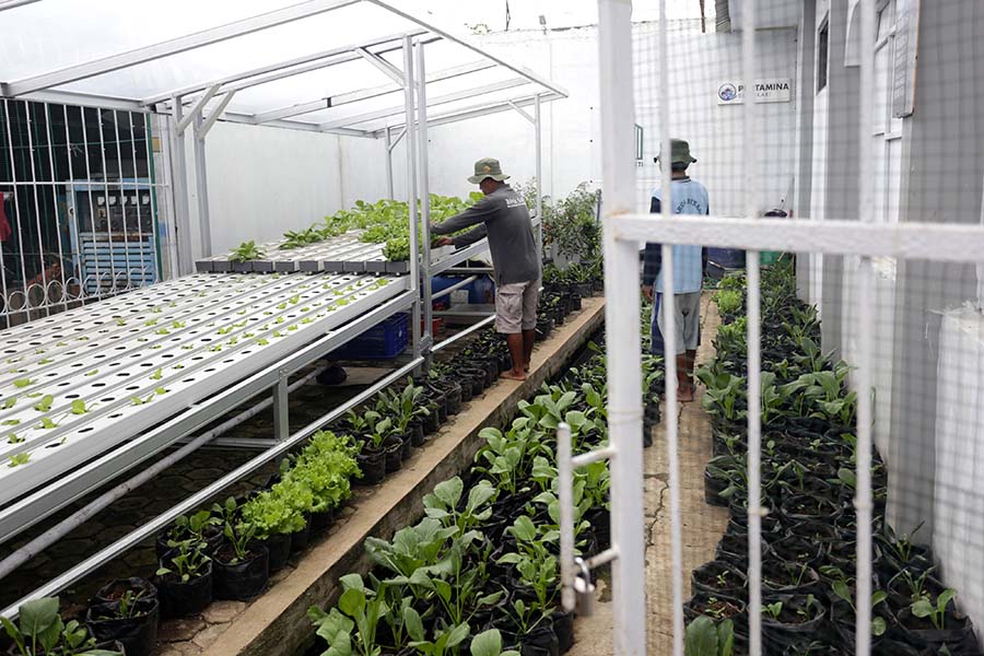 Pengembangan Ecofarming di LP Kelas 2B Indramayu