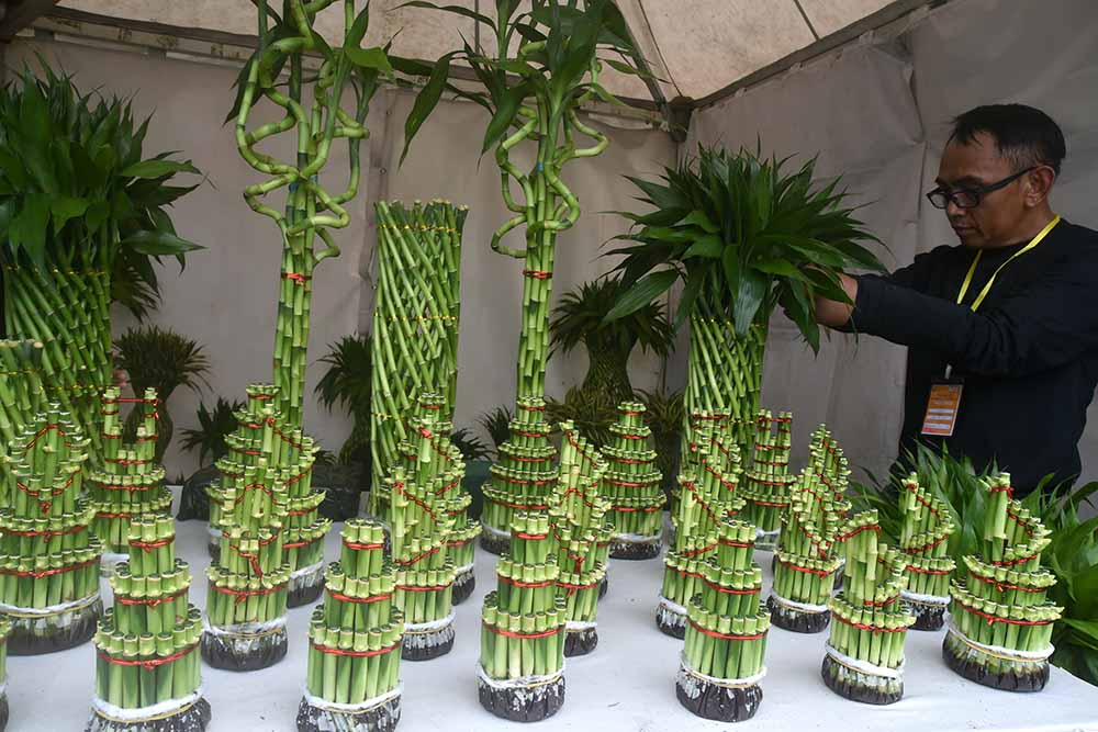 Festival Bunga dan Buah Nusantara 2022