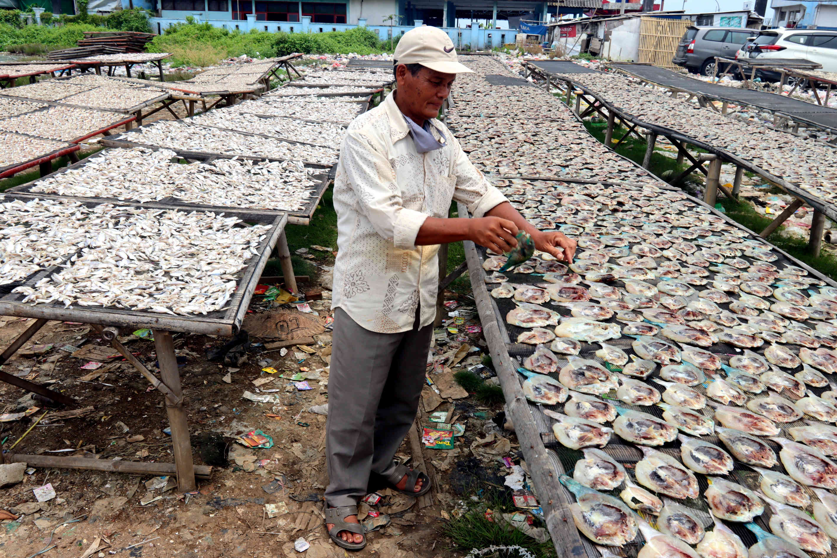 Jemur Ikan Laut Hasil Tangkapan