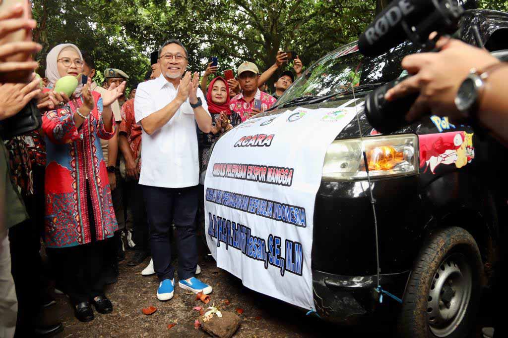 Mendag Melakukan Panen Raya Mangga