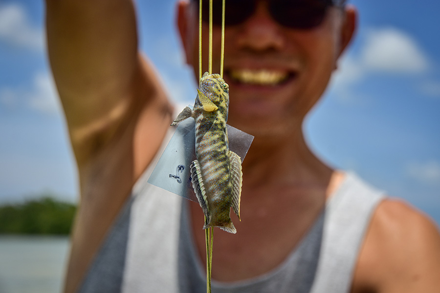 Memanah Kurkurat Dalam Festival Pesona Meti Kei di Maluku 