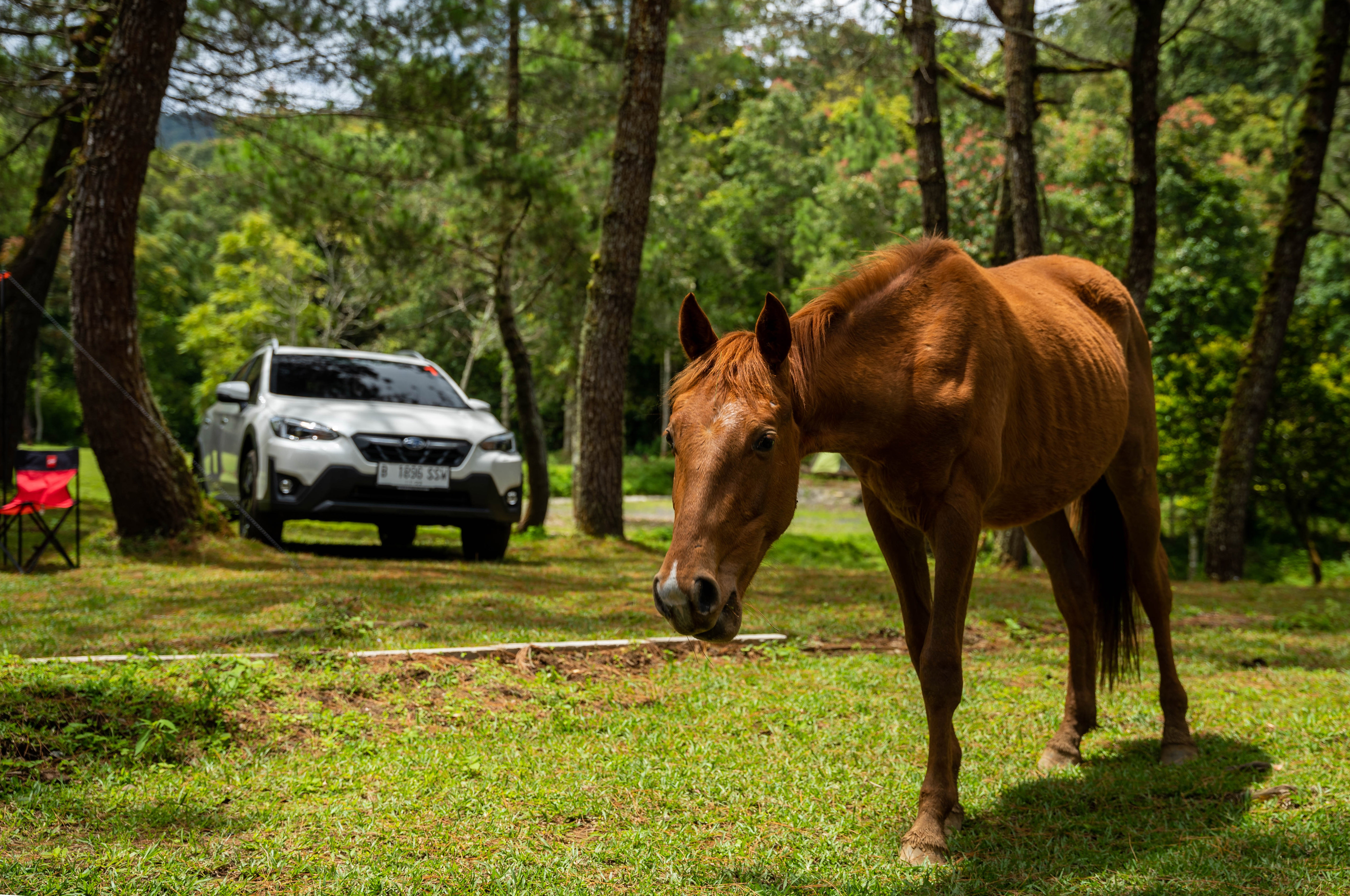 Pengalaman Berkendara 380 KM di Berbagai Kontur Jalan
