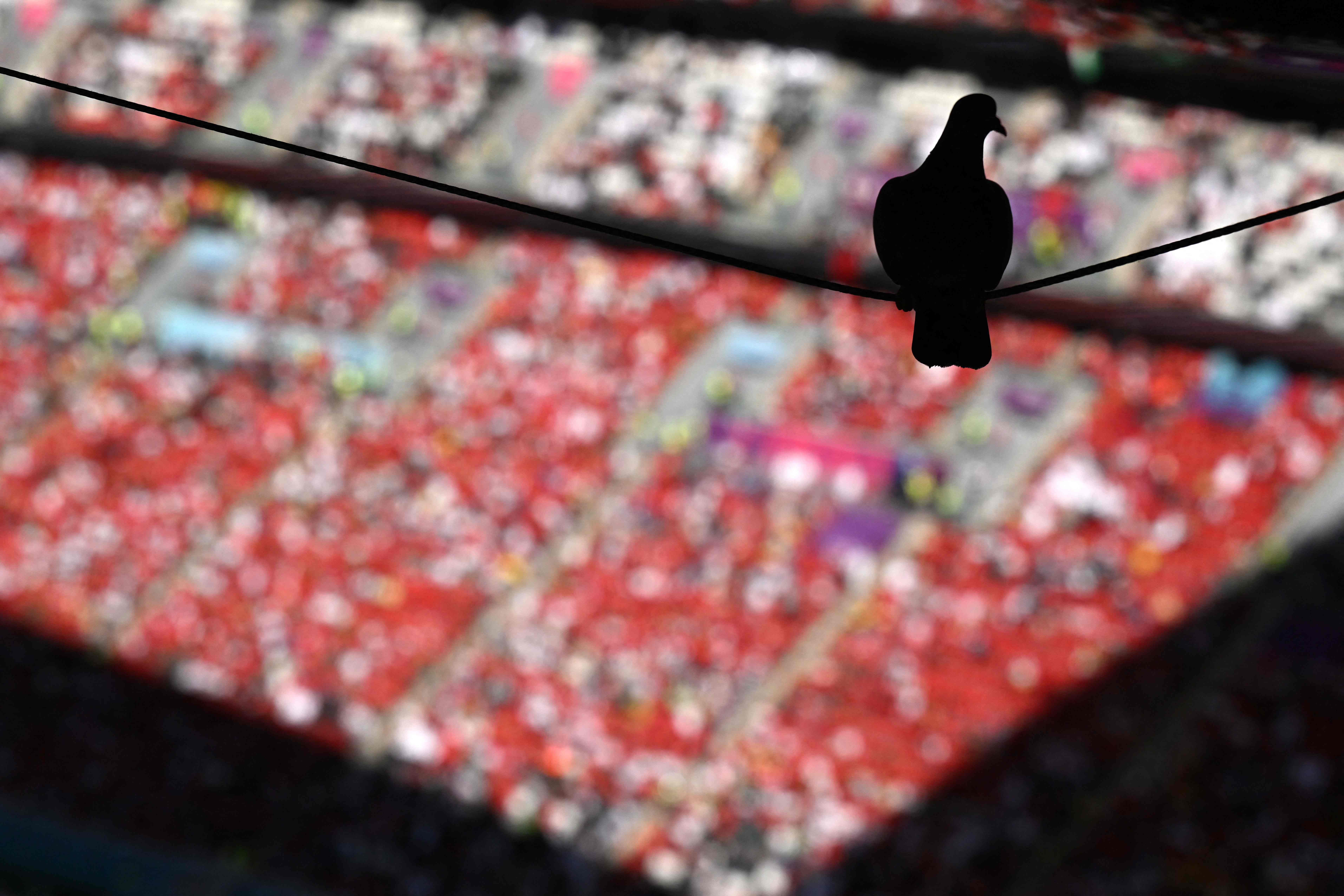 Kroasia vs Maroko Bermain Imbang Tanpa Gol