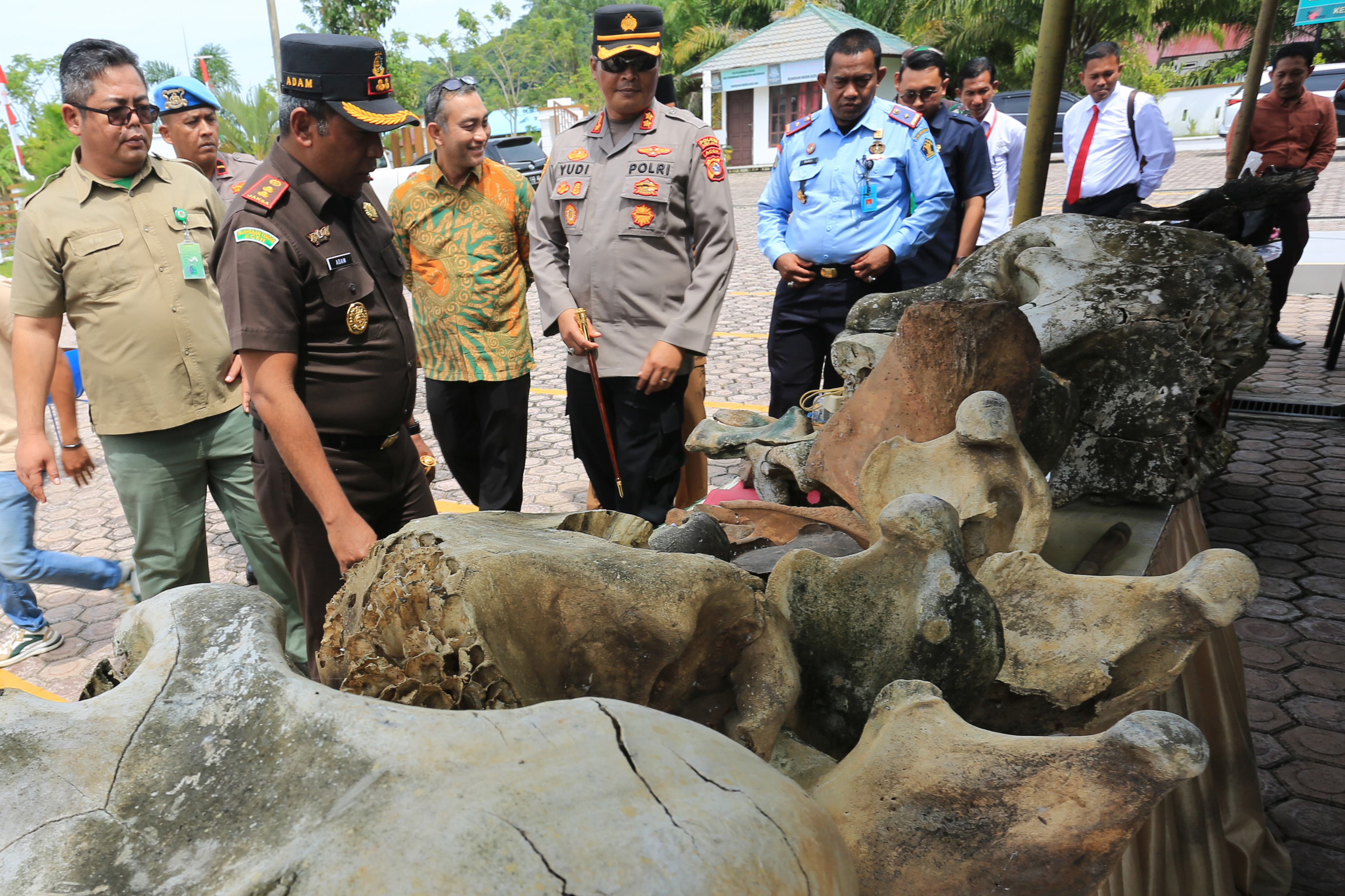 Pemusnahan Barang Bukti Kasus Gajah Sumatera di Aceh Jaya