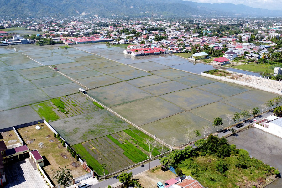 Luas Panen Padi Gorontalo