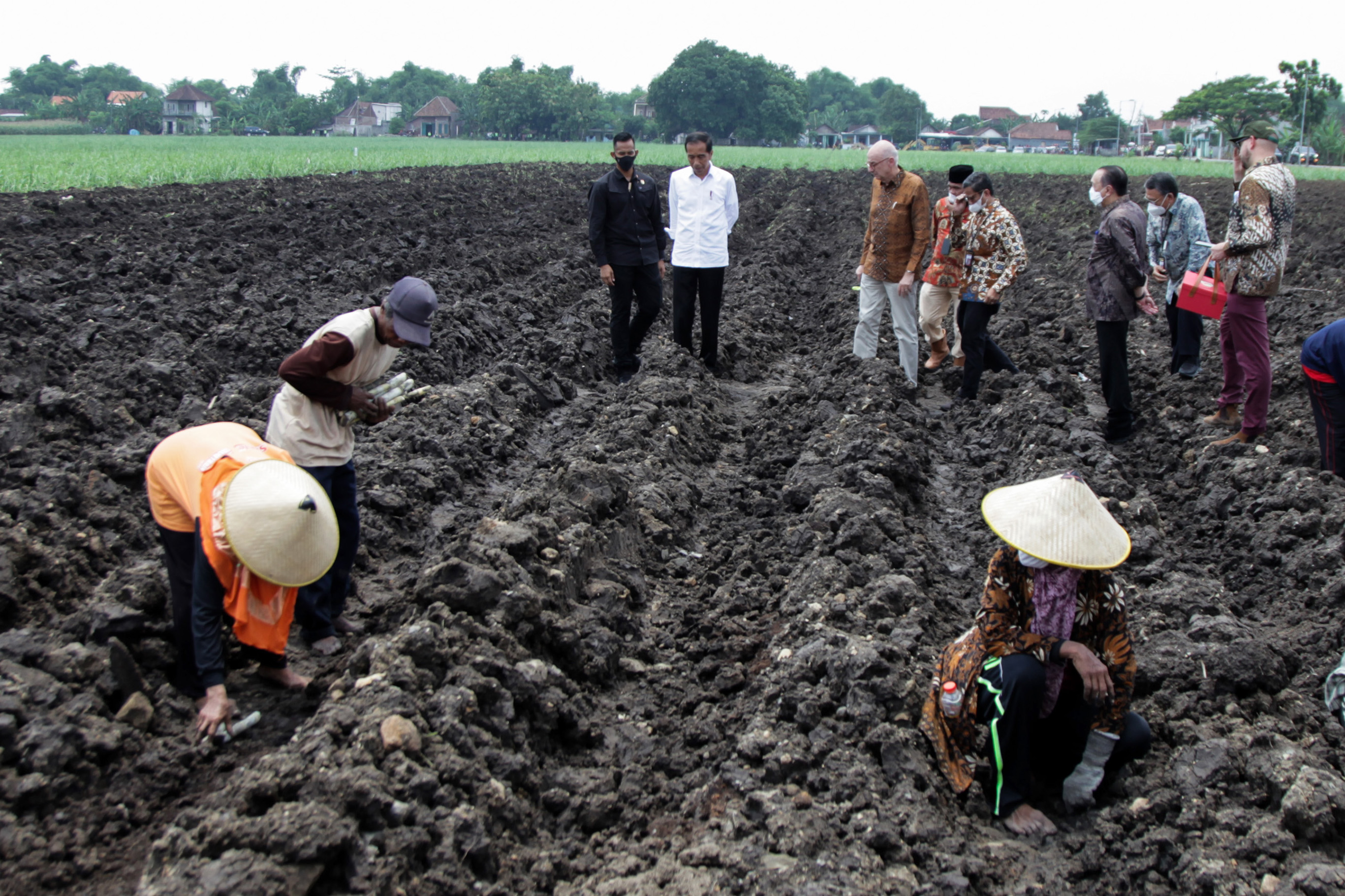 Kunjungan Presiden Jokowi di Mojokerto