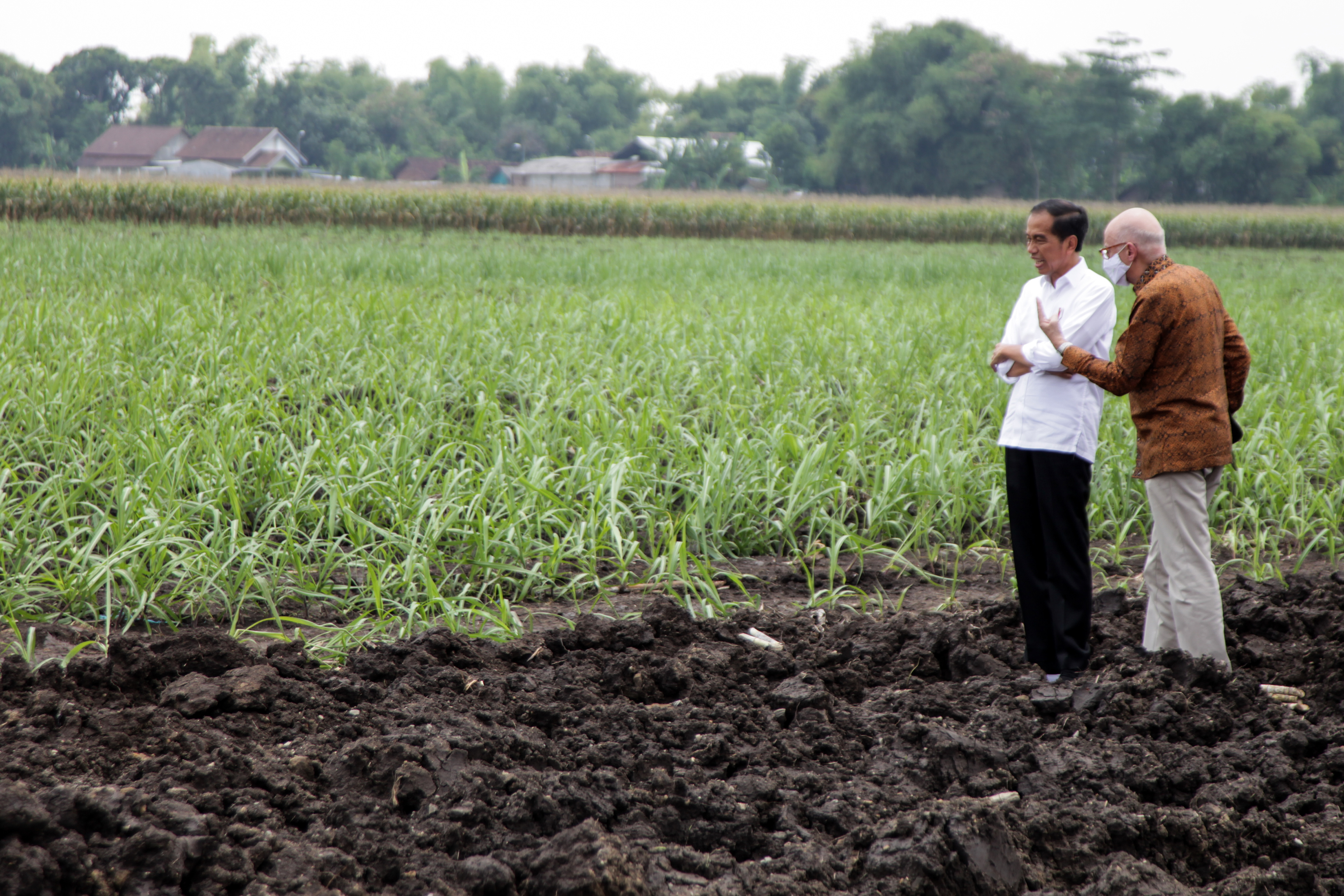 Kunjungan Presiden Jokowi di Mojokerto