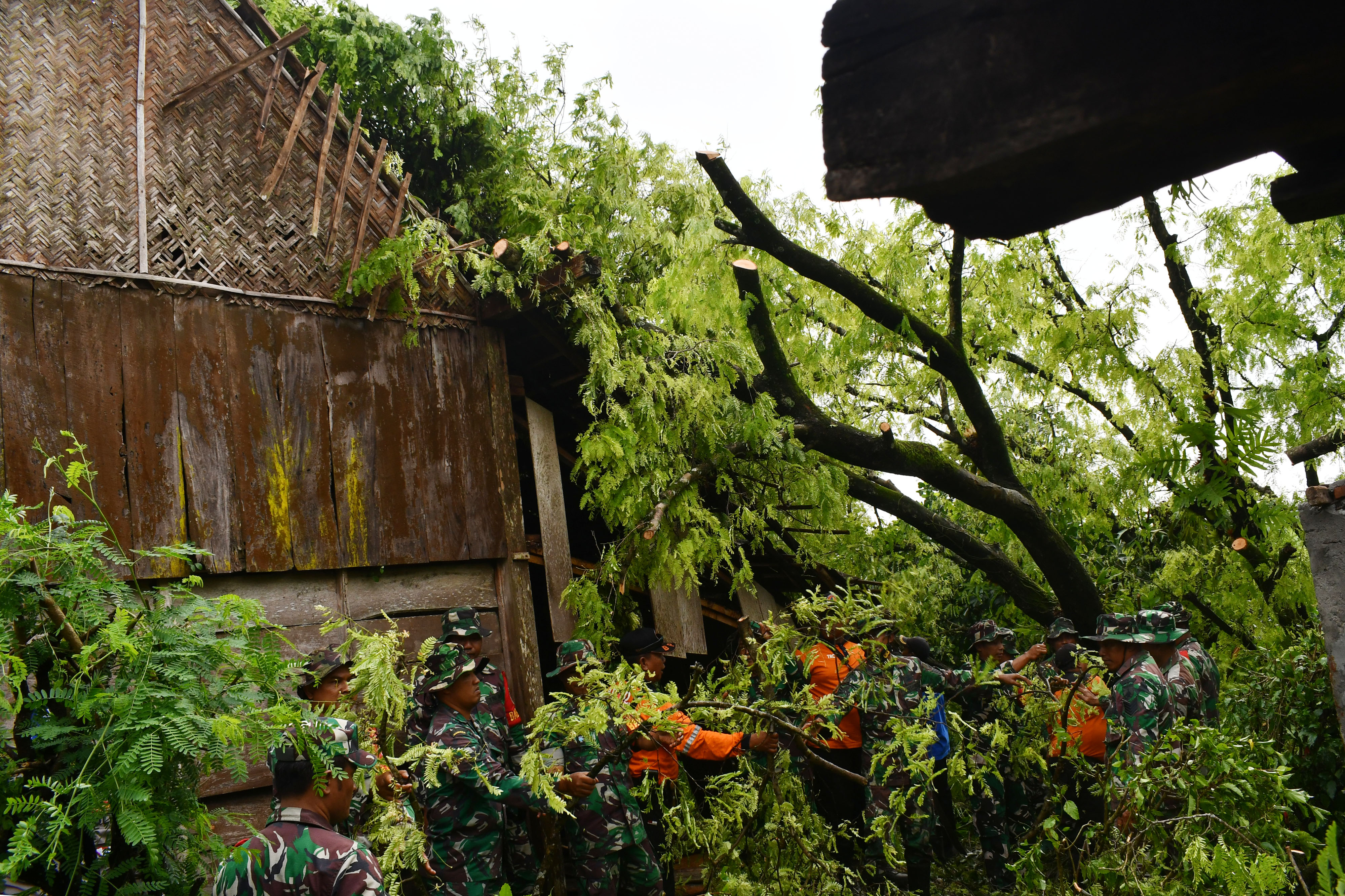 Bencana Angin Kencang di Madiun