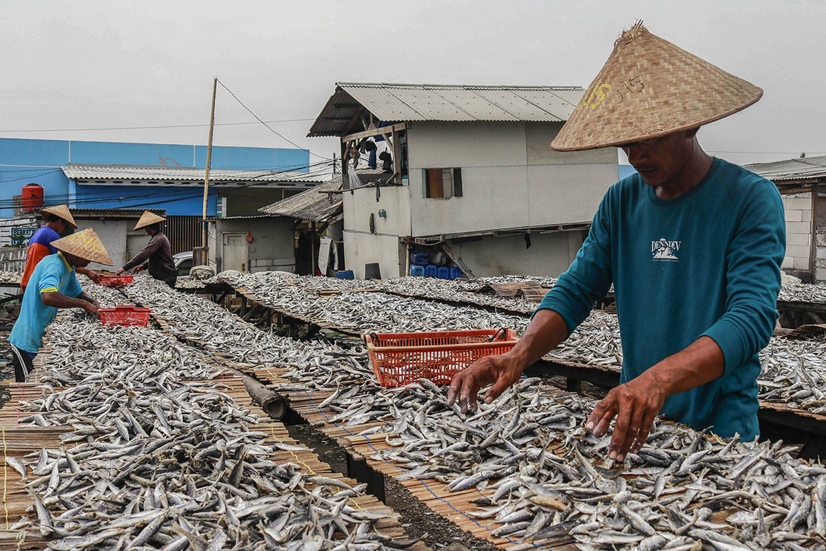 Penjualan Ikan Asin di Muara Angke
