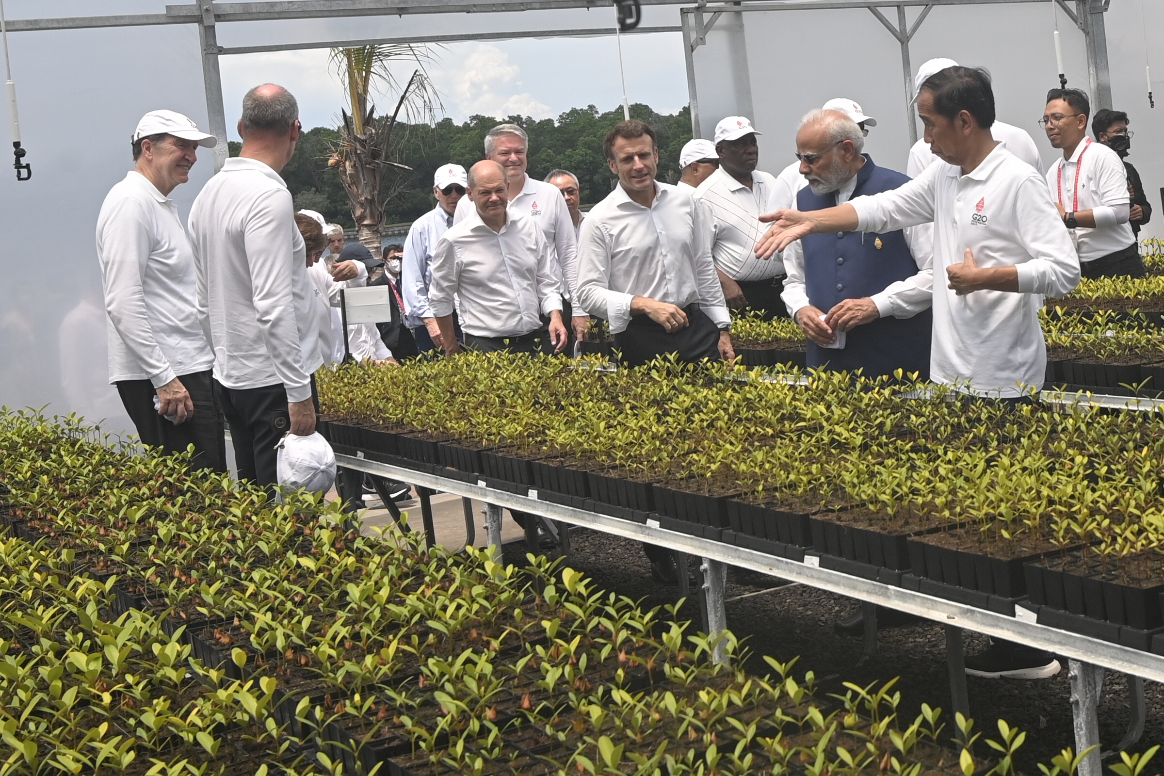 Pemimpin Negara G20 Tanam Pohon Mangrove di Tahura