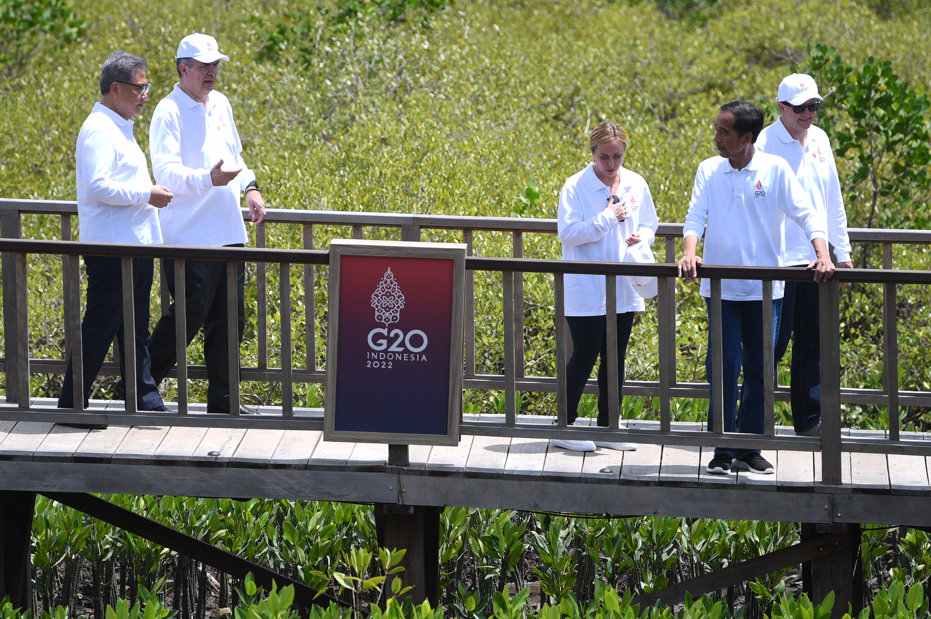 Pemimpin Negara G20 Tanam Pohon Mangrove di Tahura