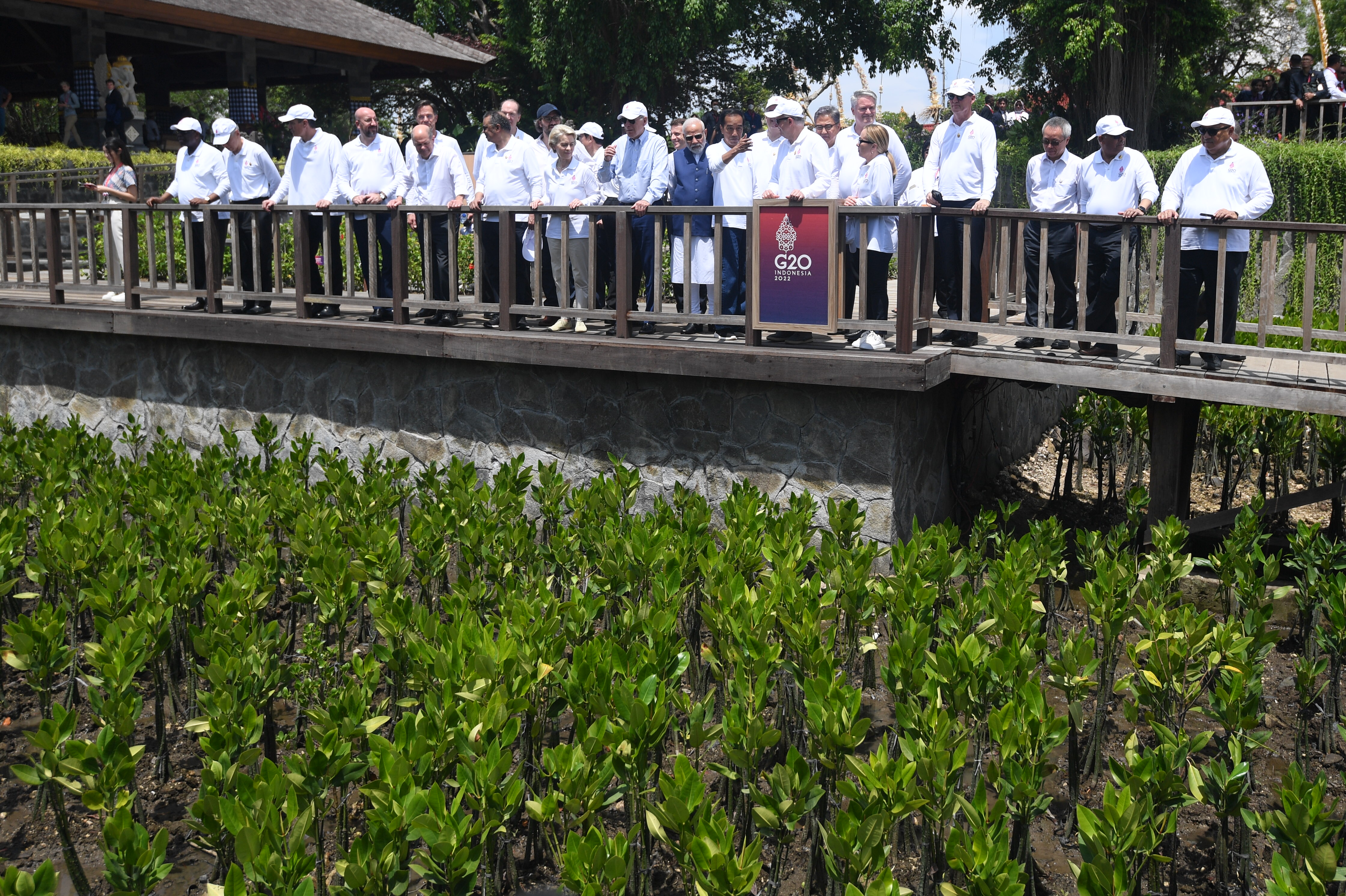 Pemimpin Negara G20 Tanam Pohon Mangrove di Tahura
