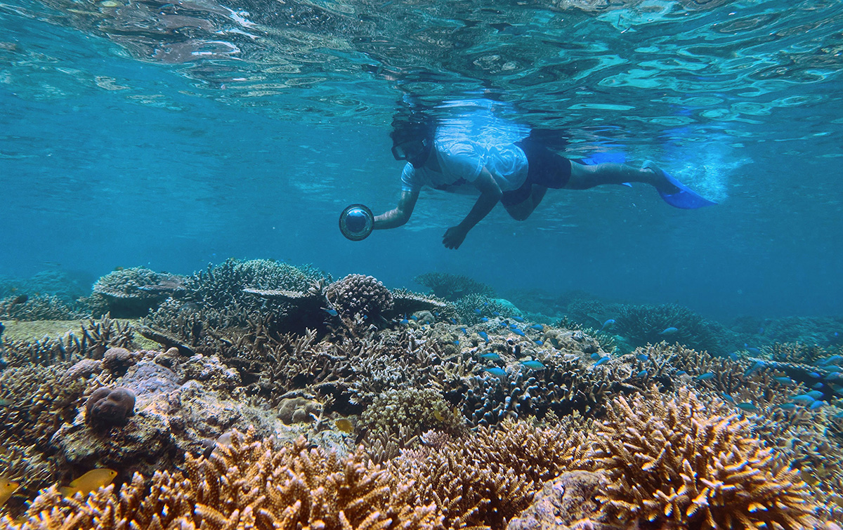 Potensi Wisata Bawah Laut Pantai Balanan Situbondo