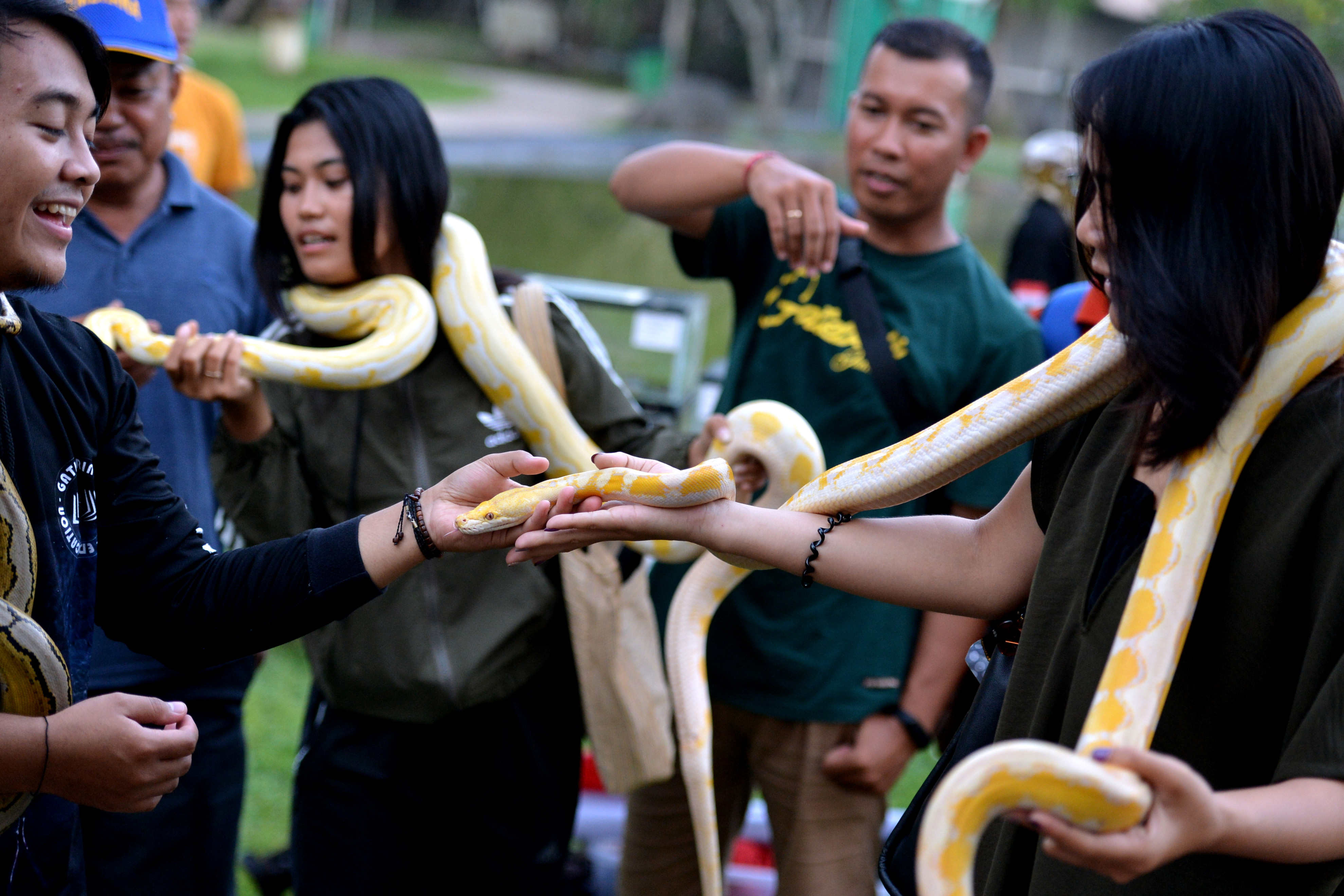 Festival Peduli Alam dan Ekonomi Kreatif