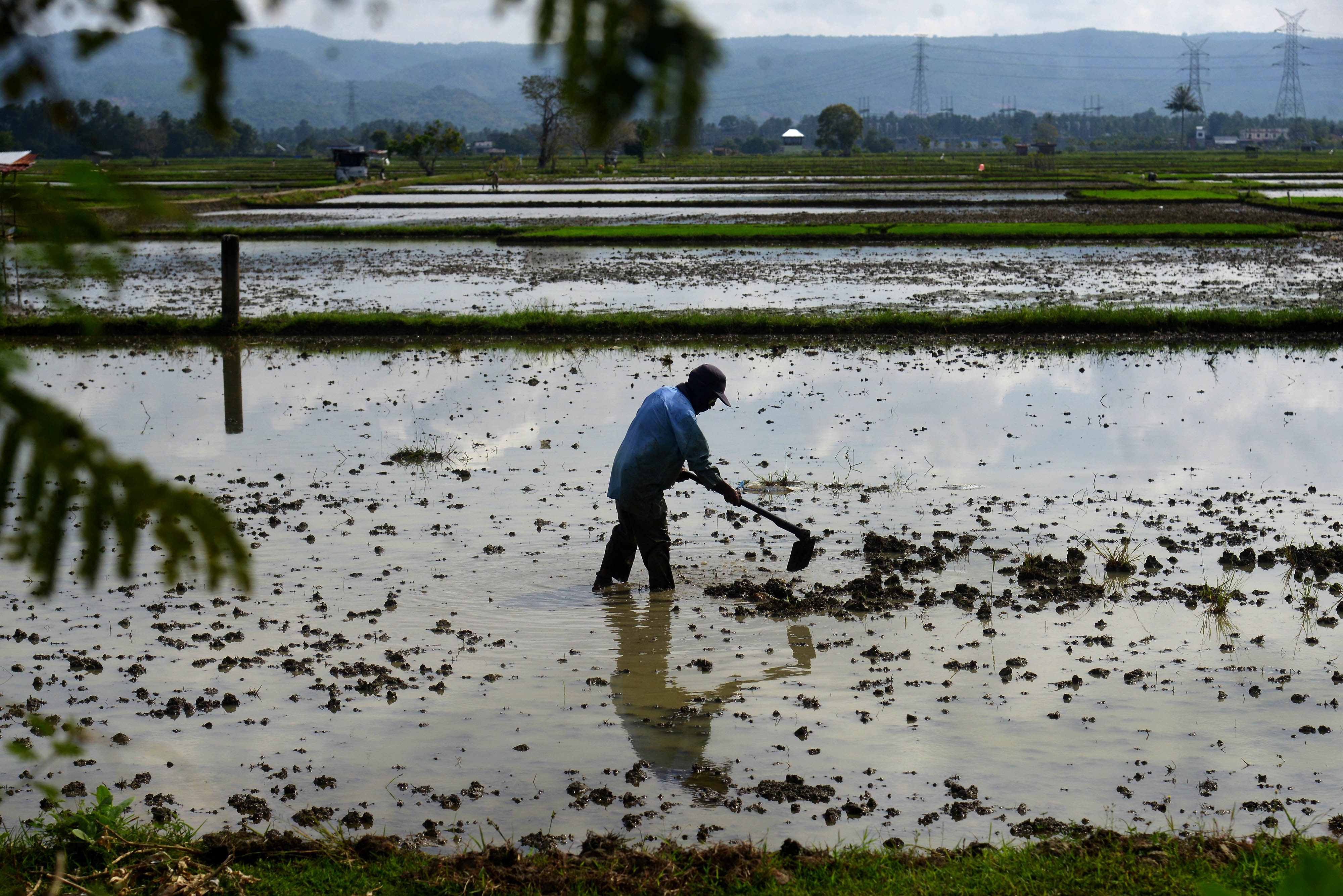 Penyaluran KUR Pertanian Lampaui Target
