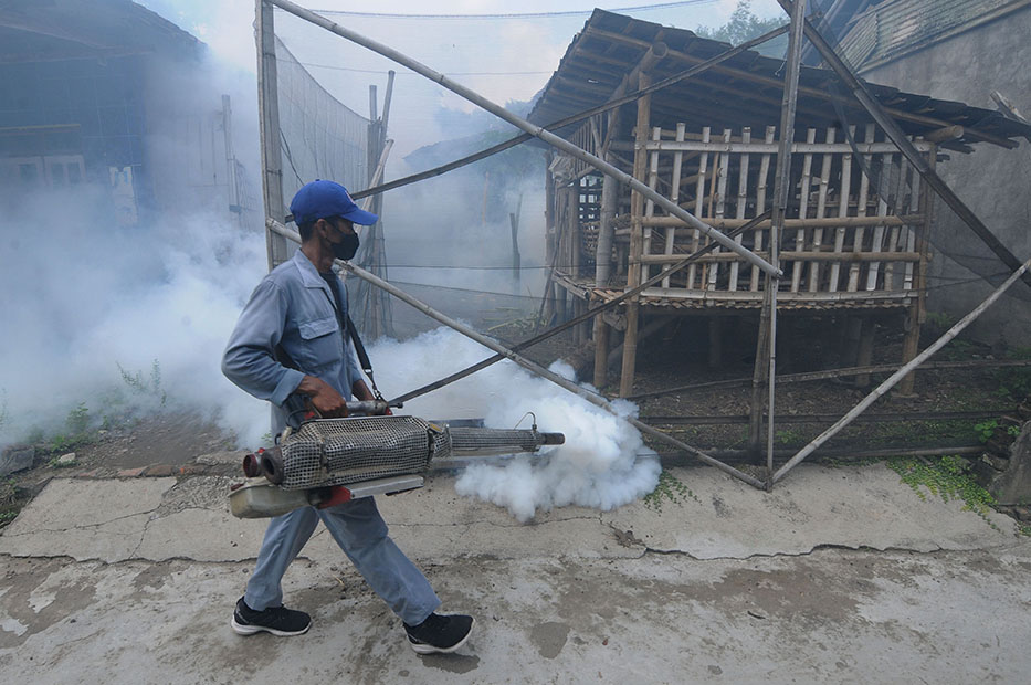 Dari Awal 2022 Sebanyak 490 Kasus Demam Berdarah dengan 23 Kematian