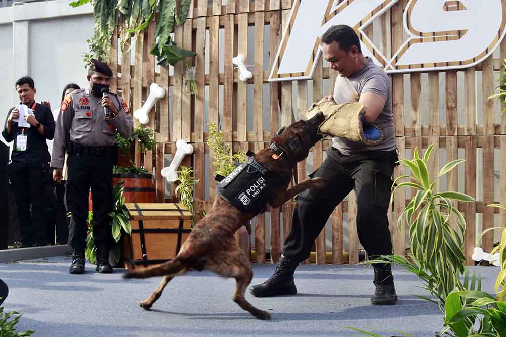 Aksi Anjing Pelacak K-9