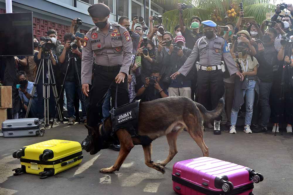 Aksi Anjing Pelacak K-9