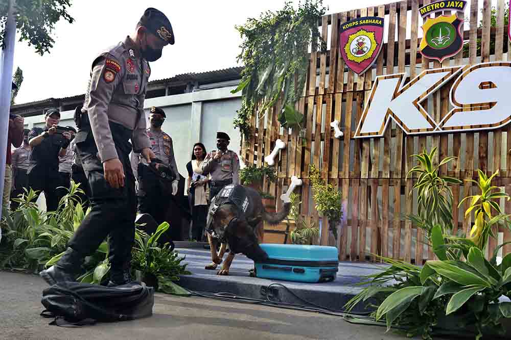 Aksi Anjing Pelacak K-9