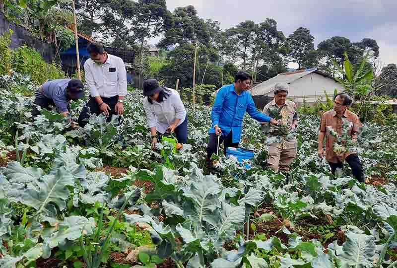 Program Pembinaan UMKM Pertanian 