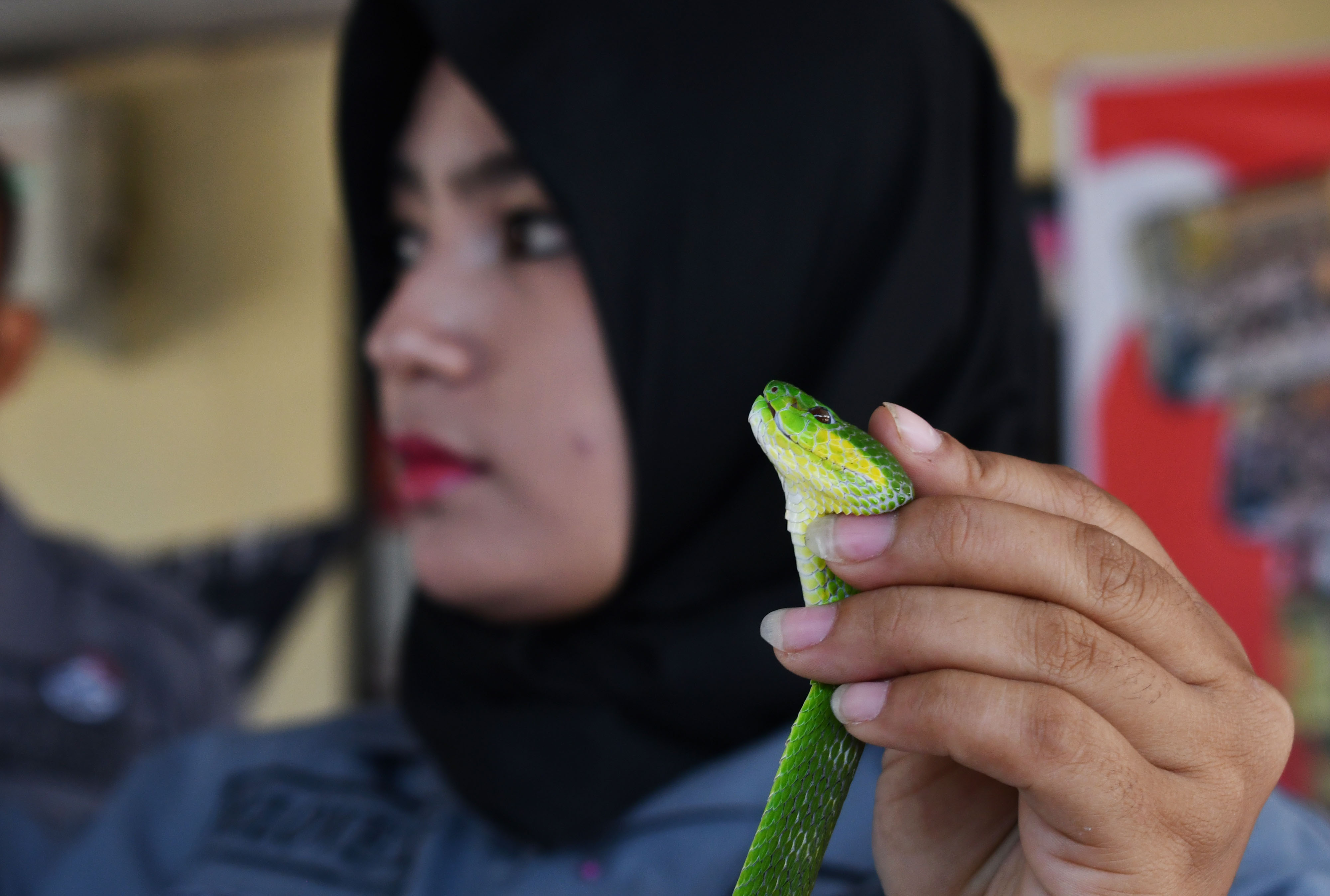 Edukasi Ular Kepada Polisi di Madiun