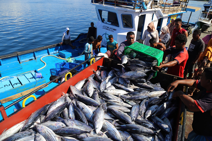 Penangkapan Ikan Secara Terukur Berbasis Kuota