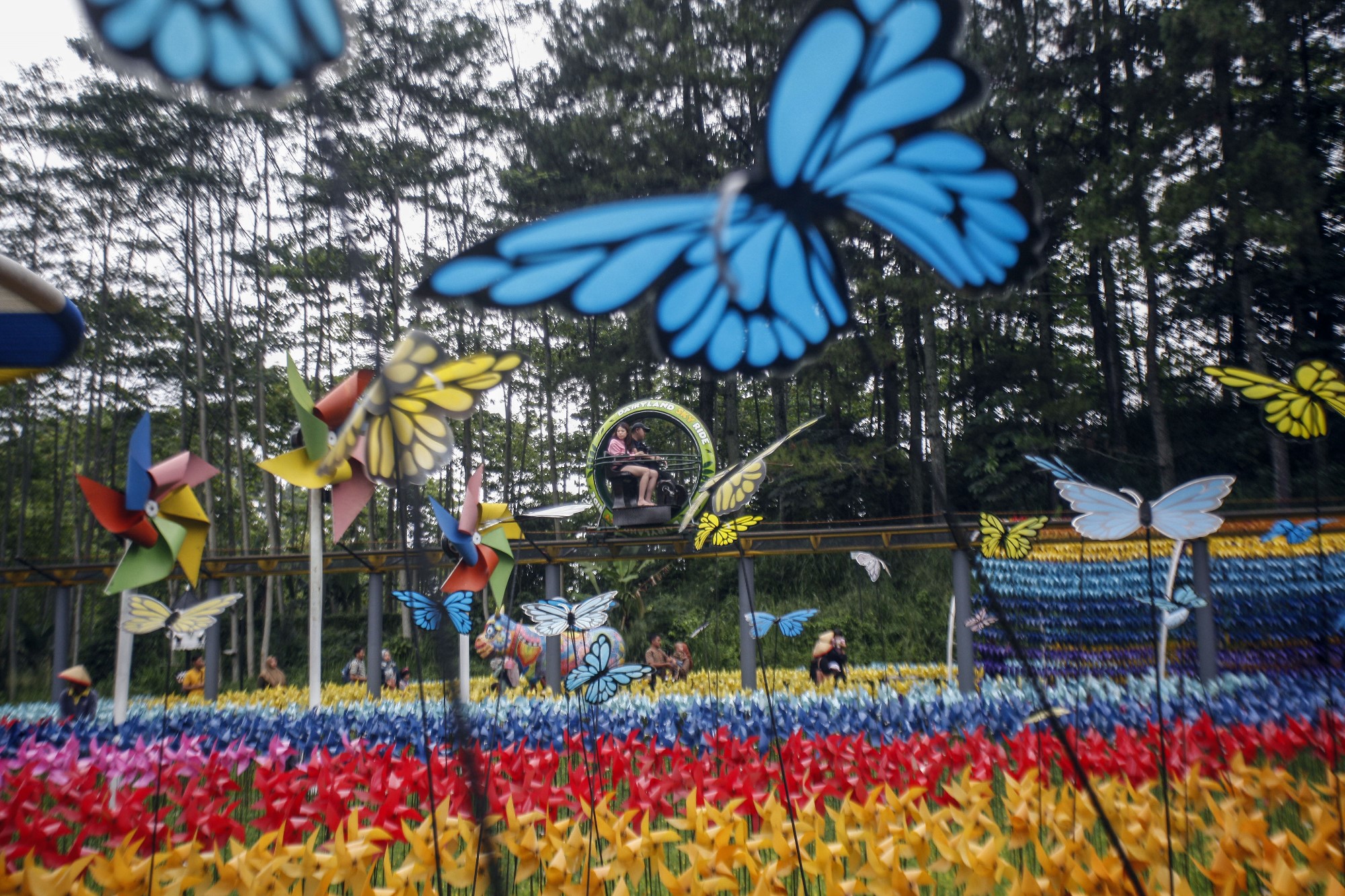 Liburan  di Cimory Dairyland  Puncak  Bogor