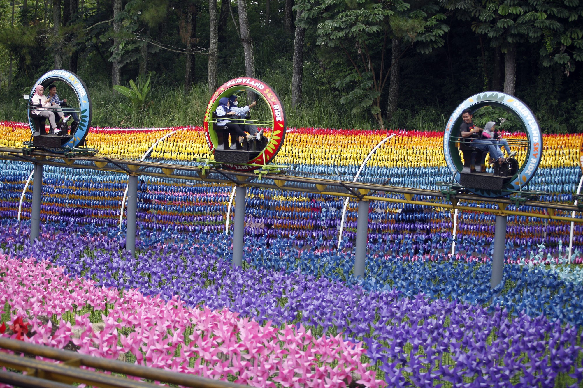 Liburan  di Cimory Dairyland  Puncak  Bogor